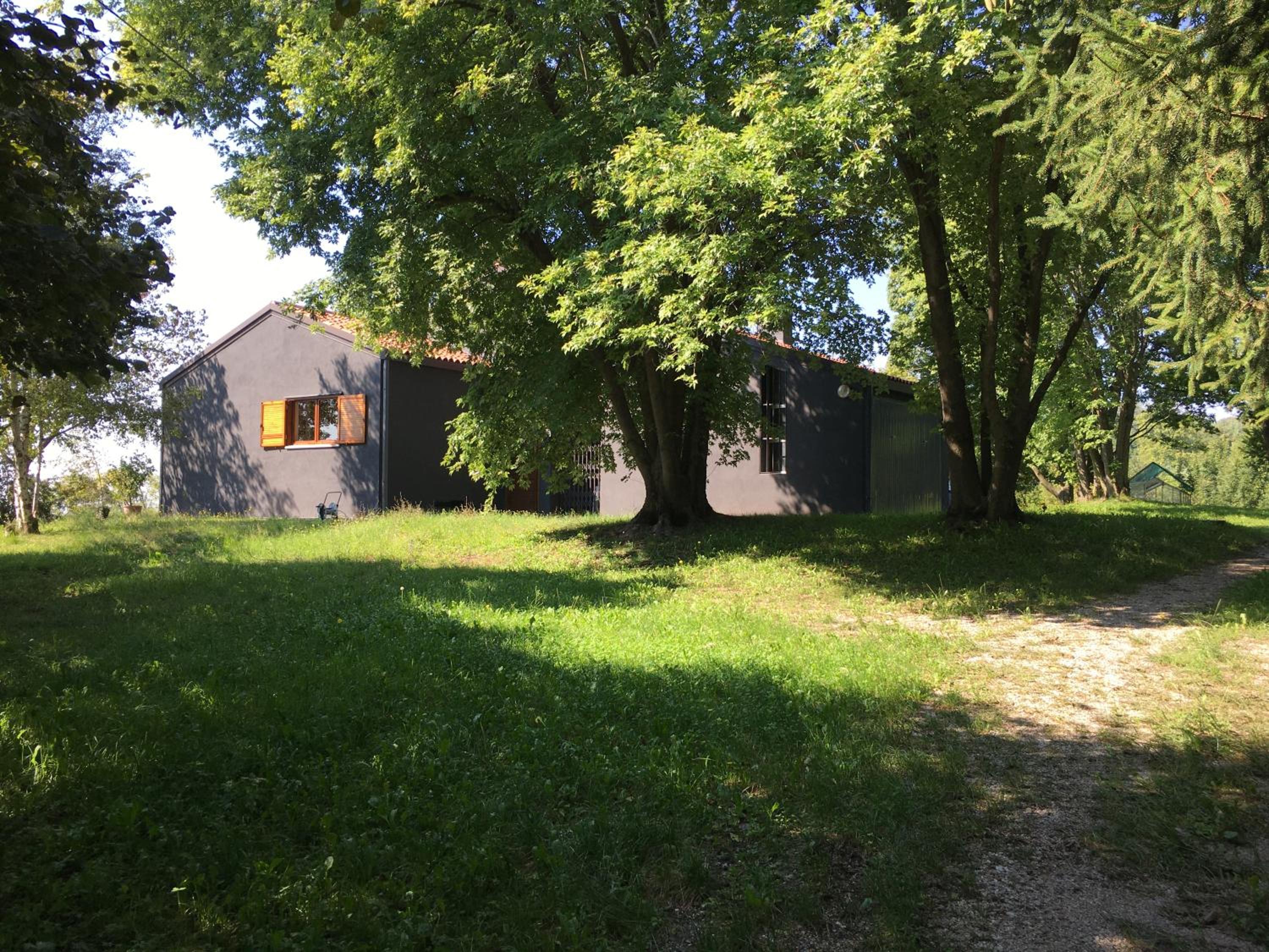 Photo 11