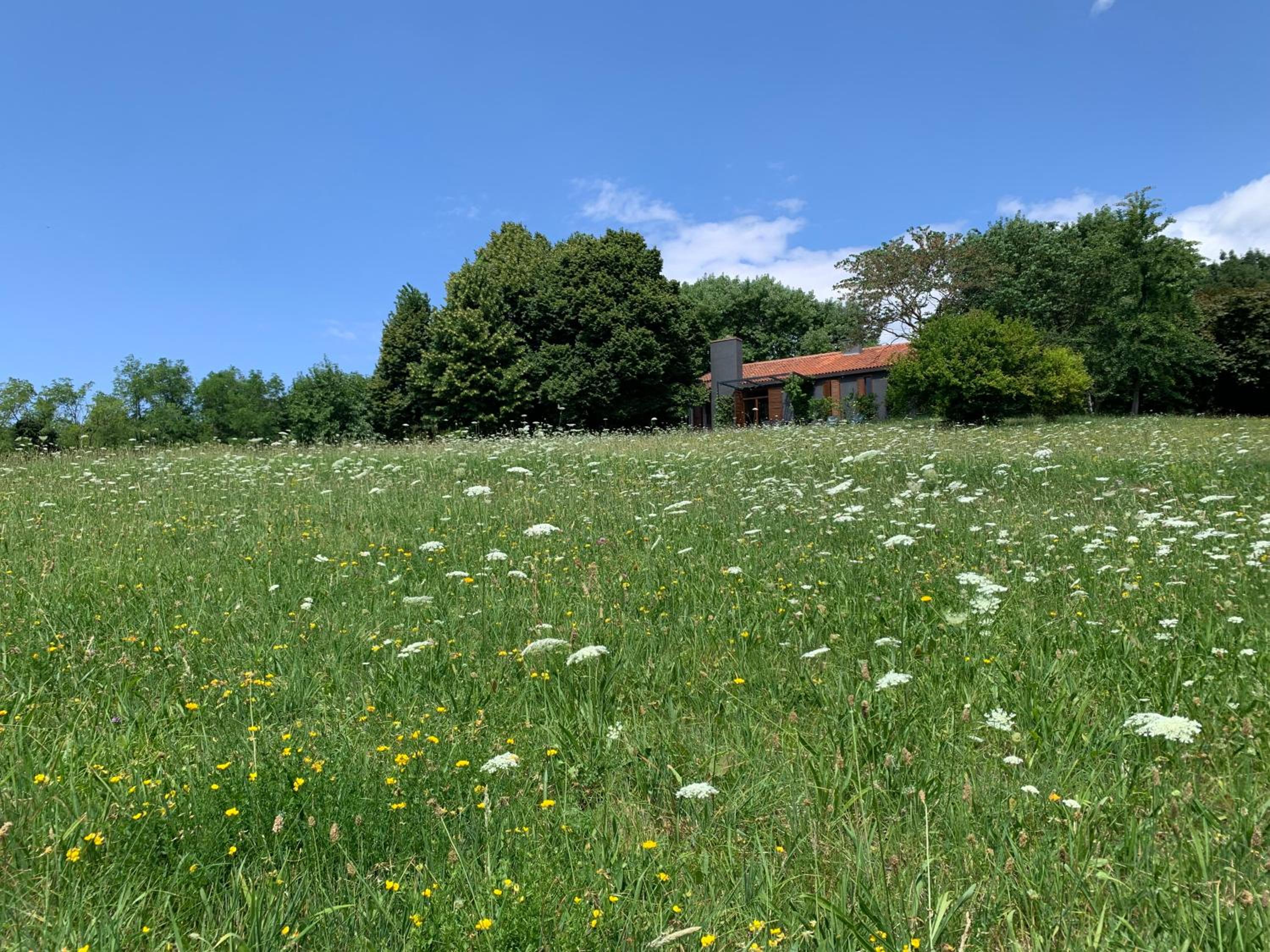 VILLA TUGURIO. La tua casa immersa nel verde view 5