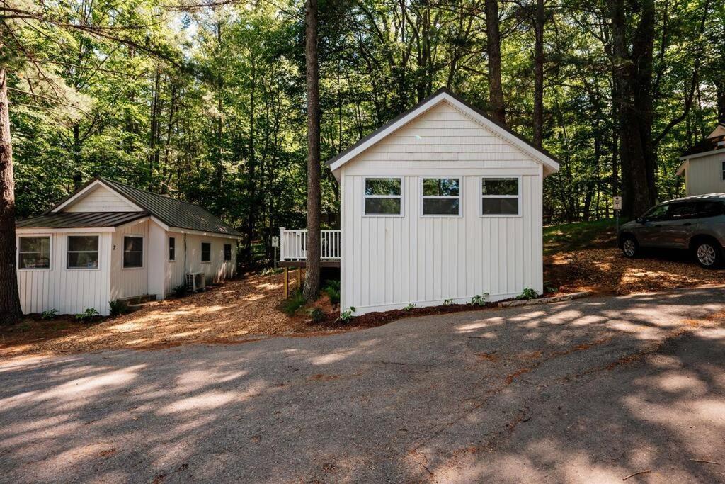 Arbutus Lake - Lakeview King Suite - Pines - Pets view 2