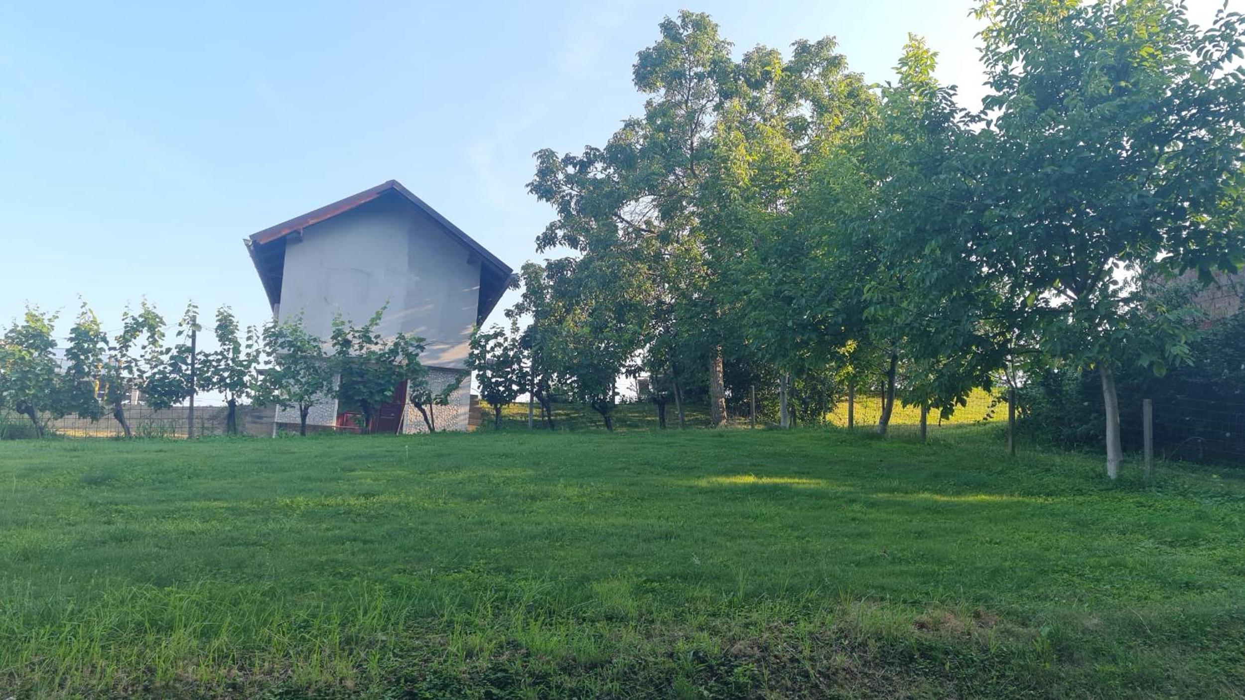 Hiša nad vinogradom view 4