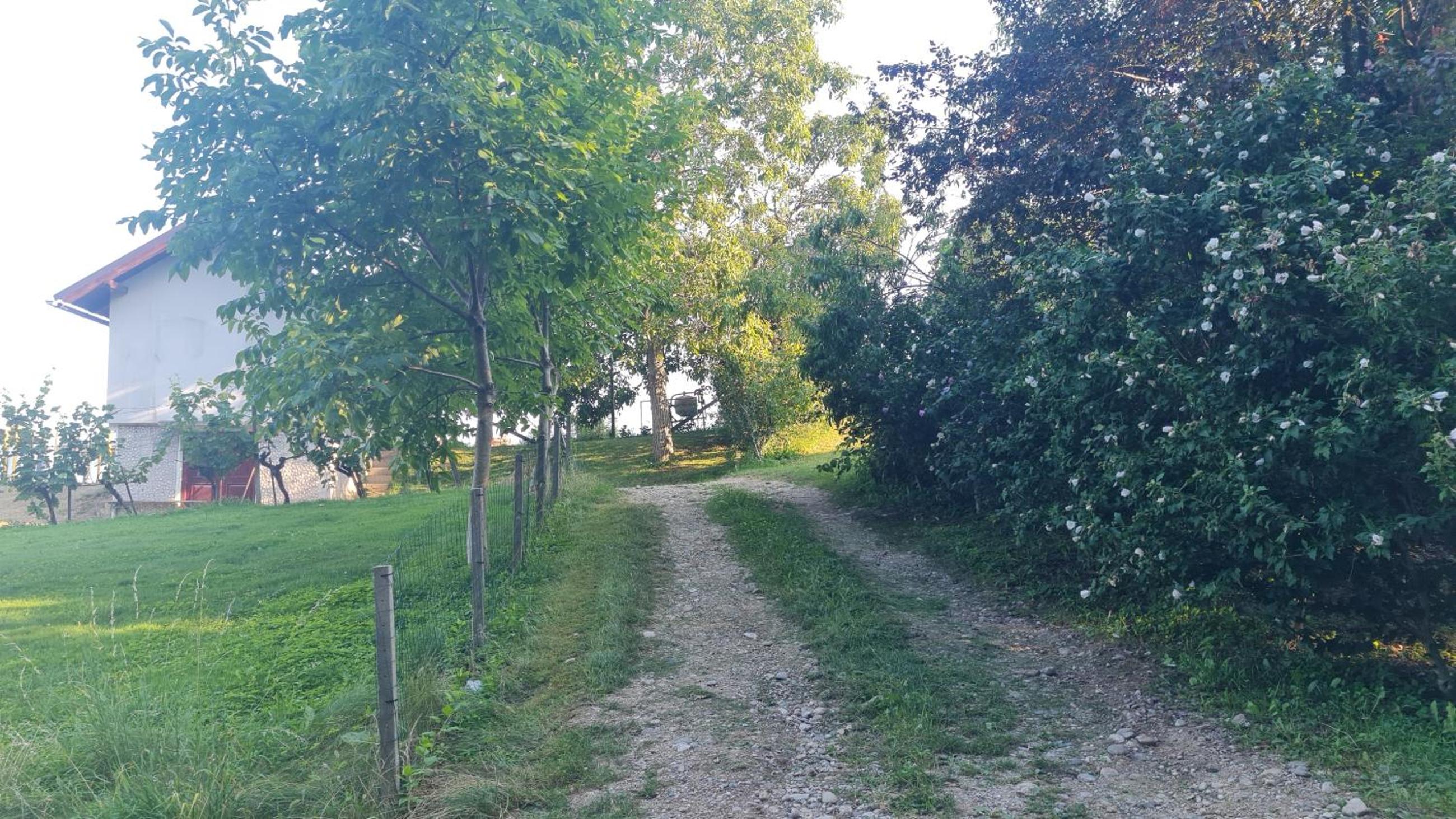 Photo 7