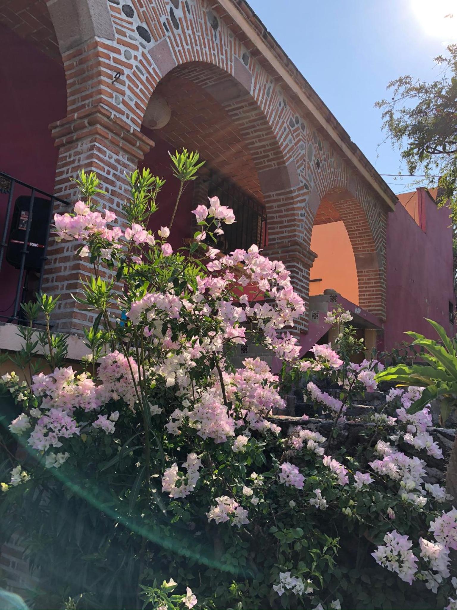 La Escondida, alberca, jardín, asador y vistas