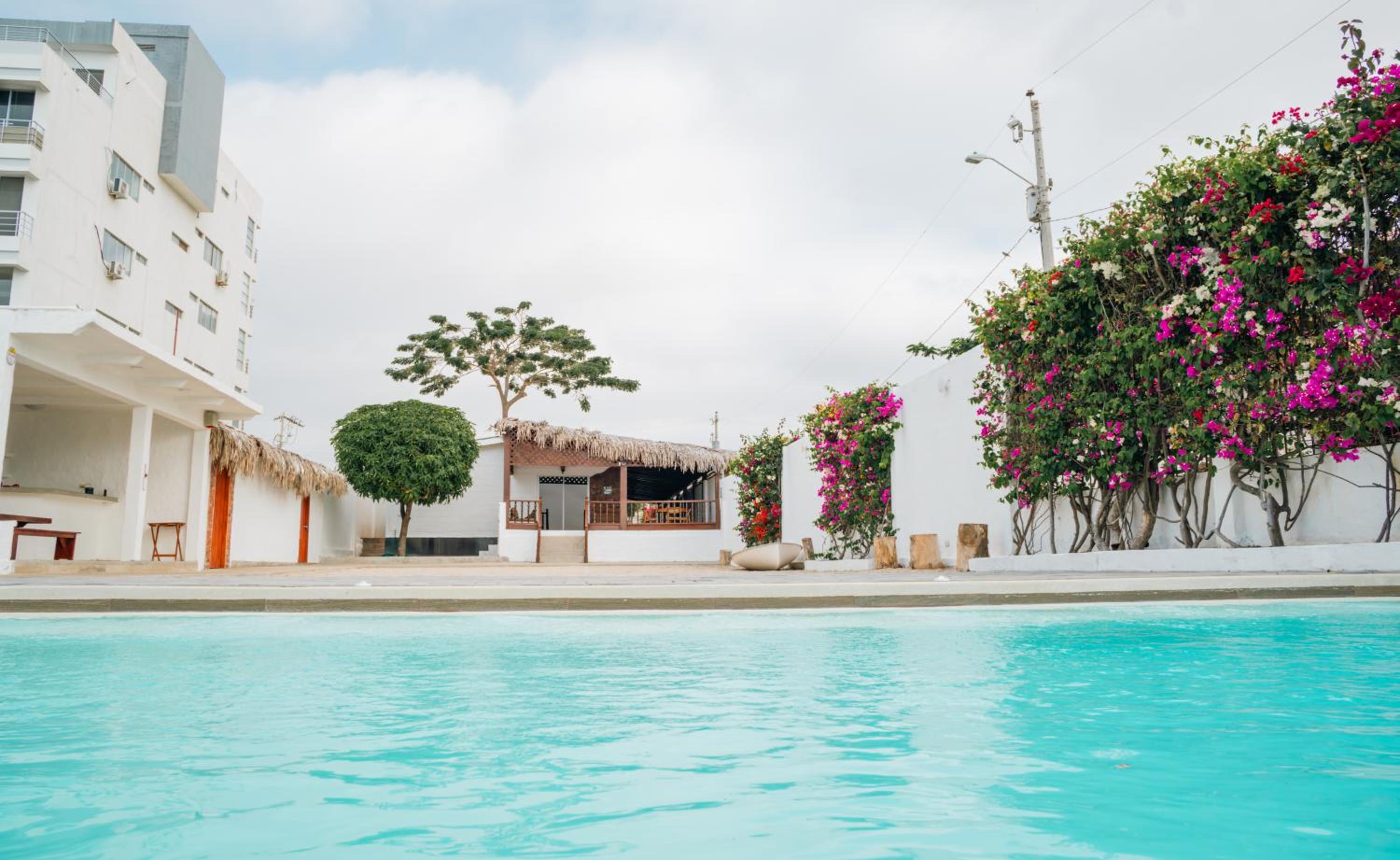 Oceanfront Oasis