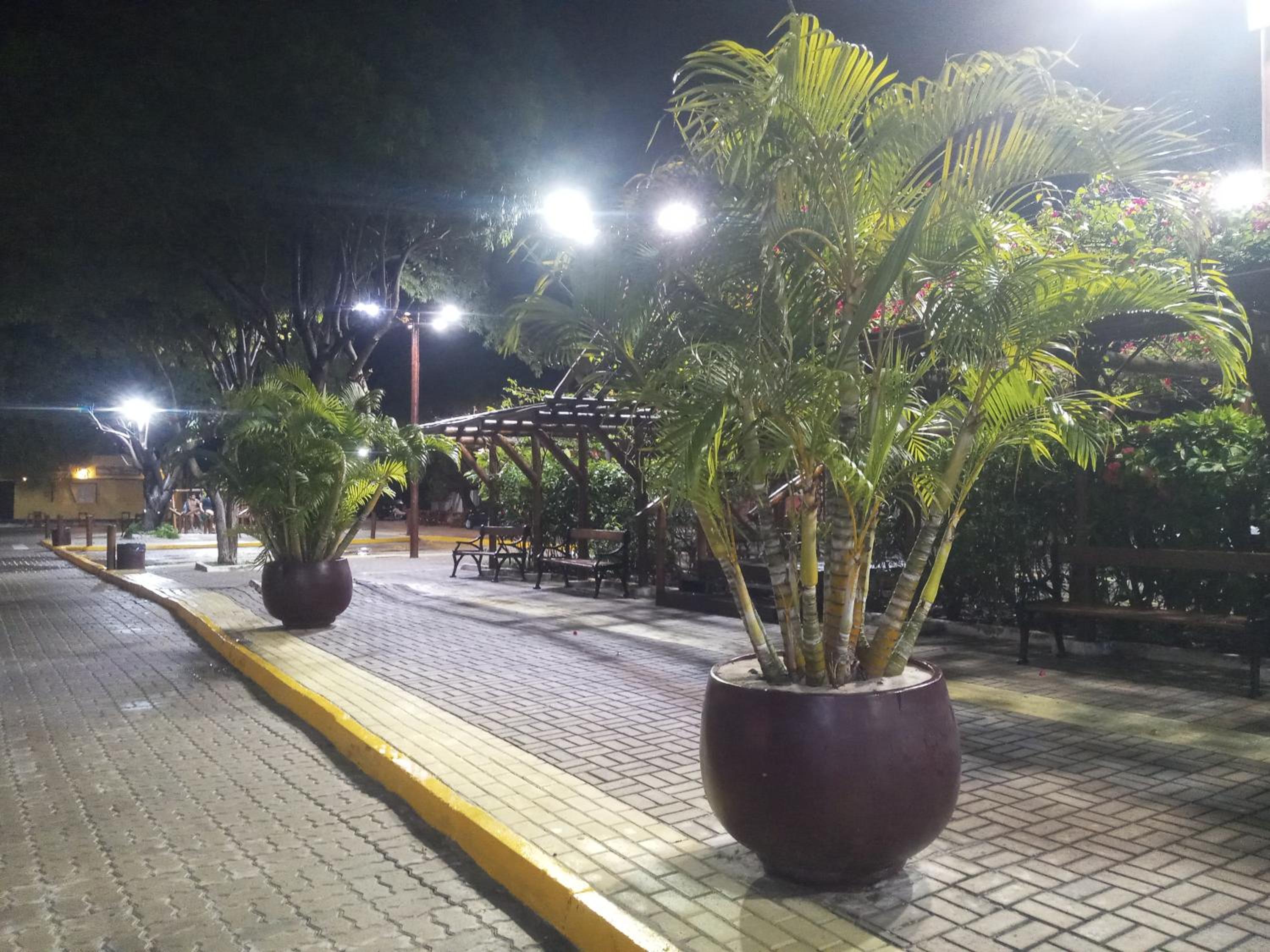 Chales Da Mata