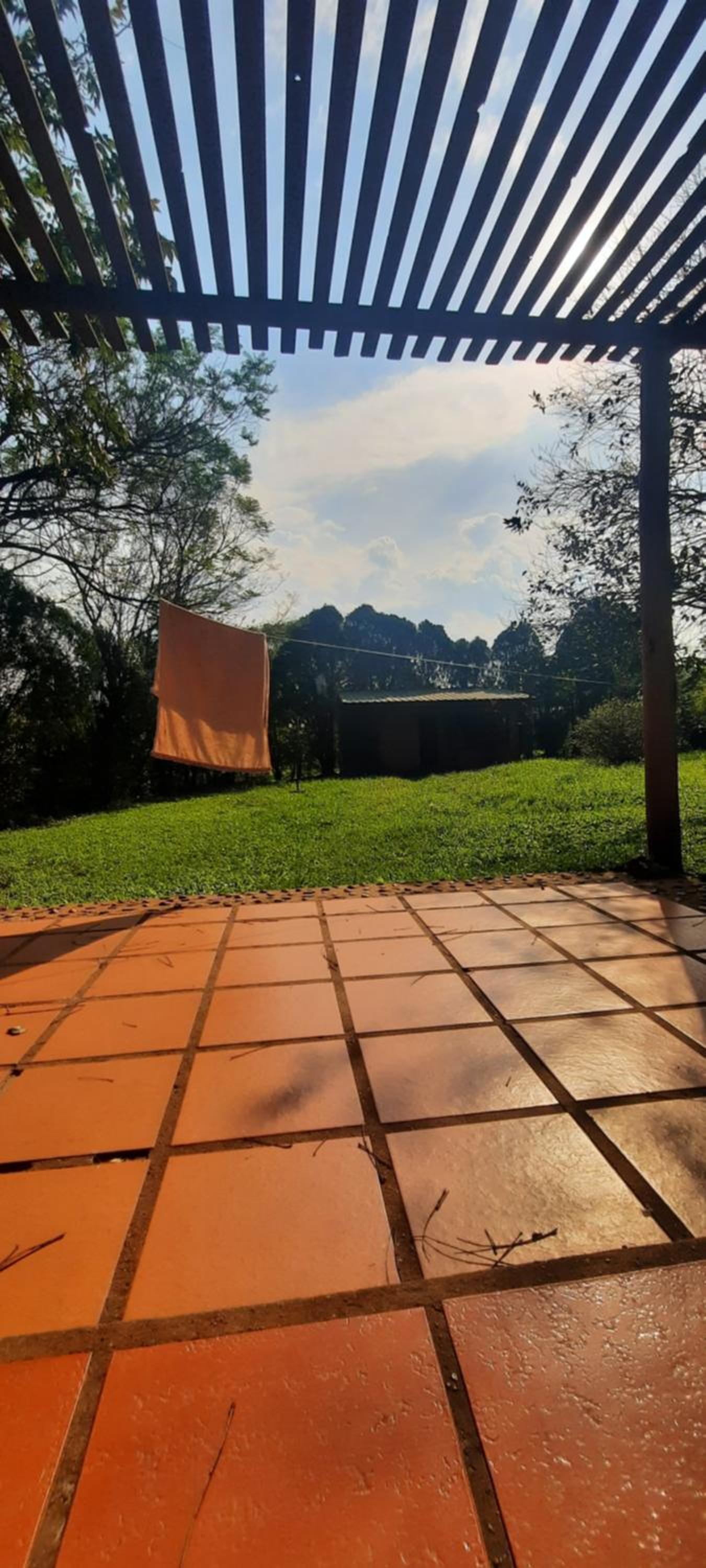 Alegría