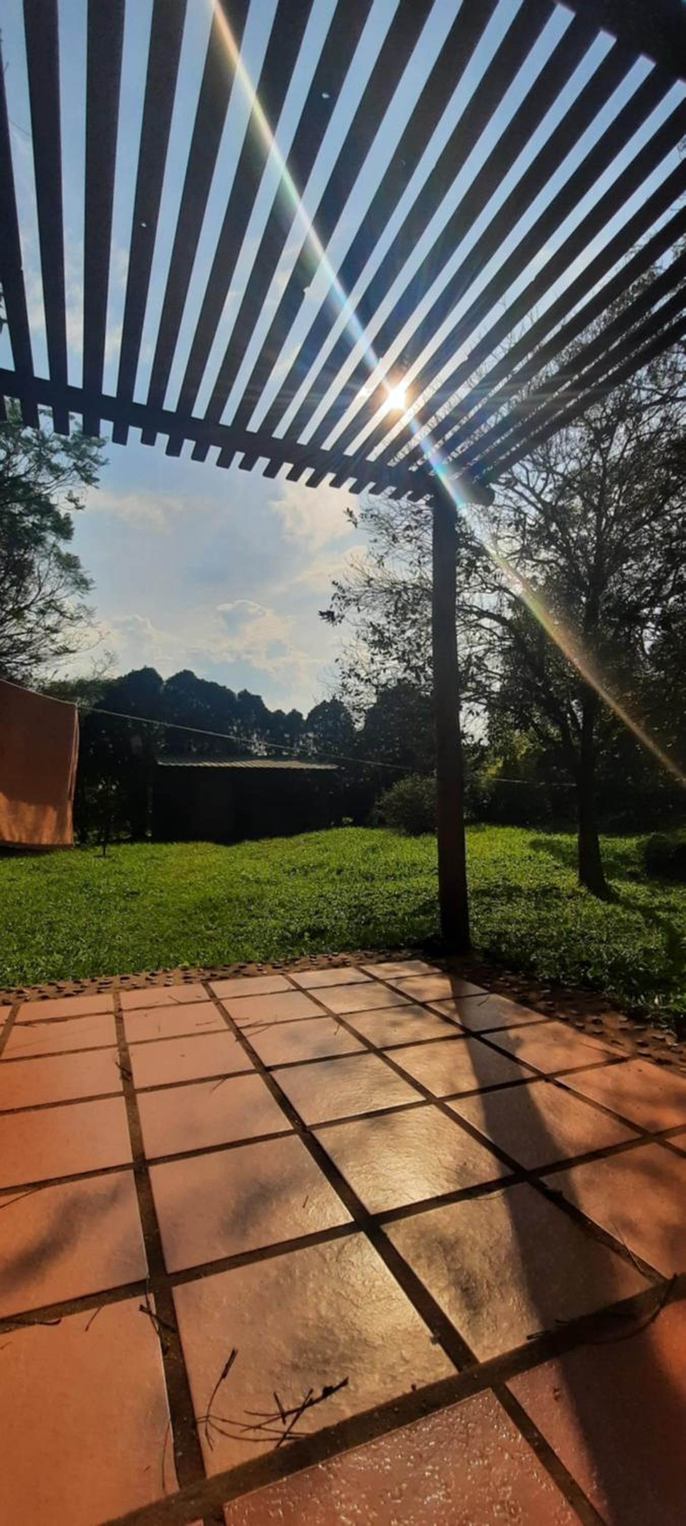 Alegría