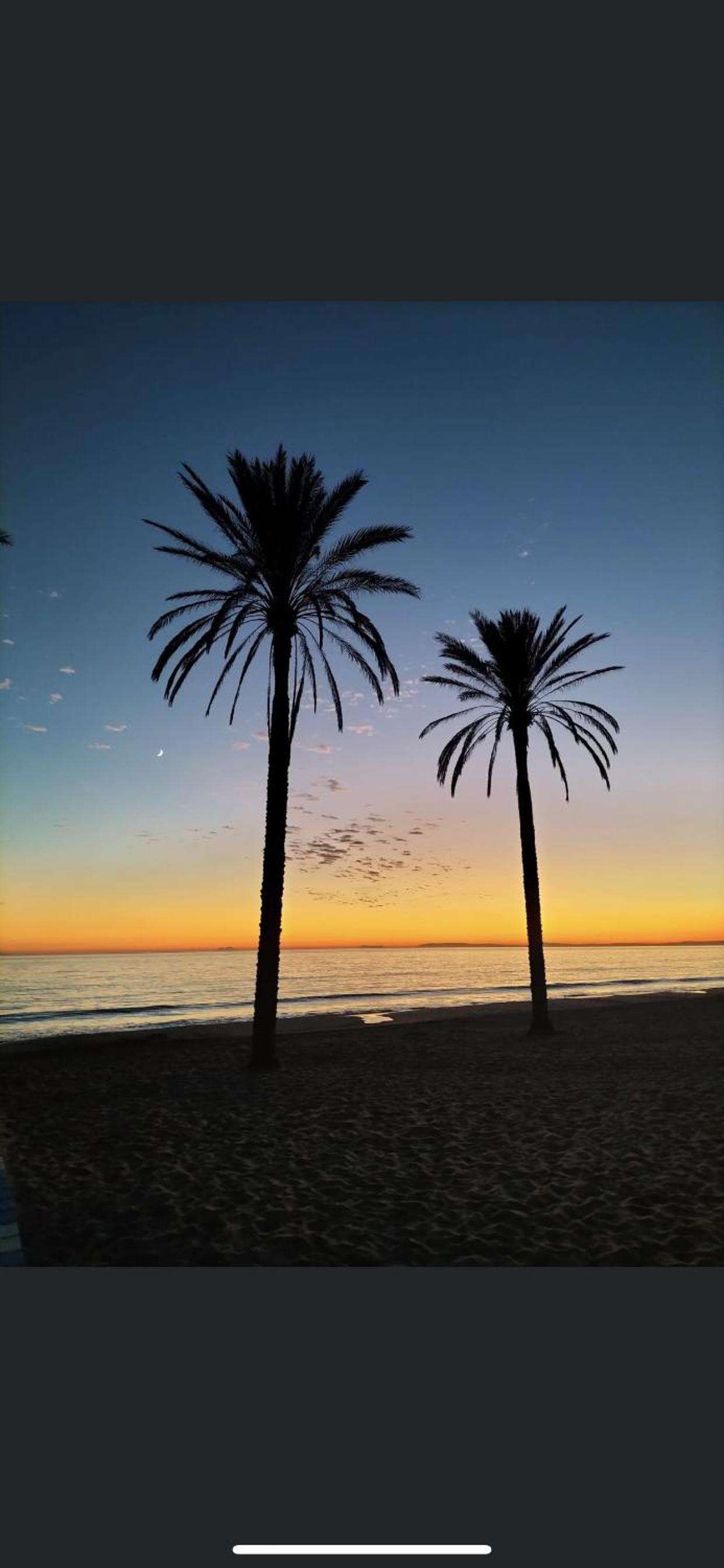 Marbella Atico duplex-Las vistas de Laia