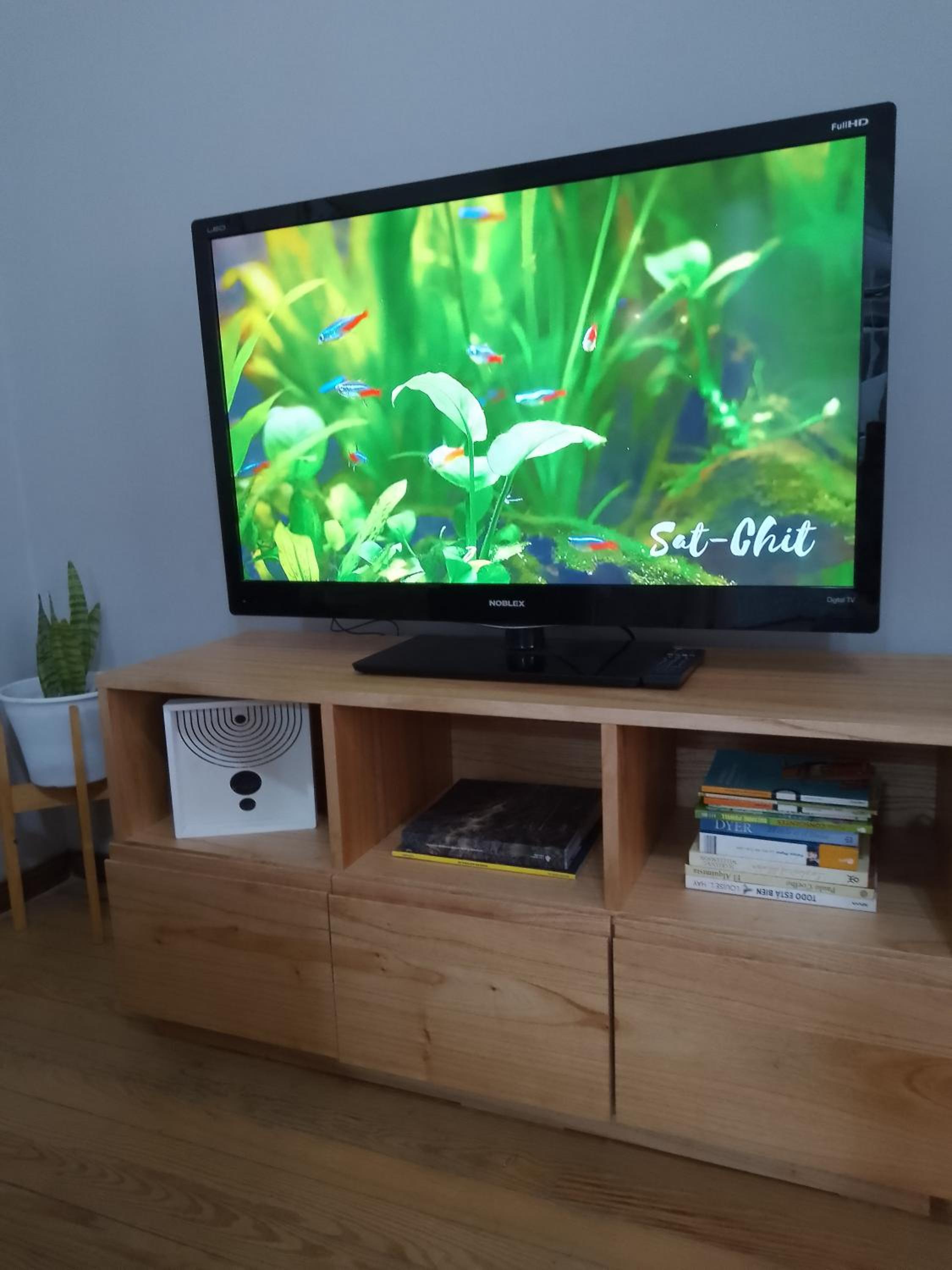 Acogedor e impecable apartamento neocolonial