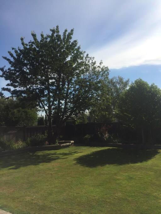 Adorable Private Stay with Garden View in Richmond
