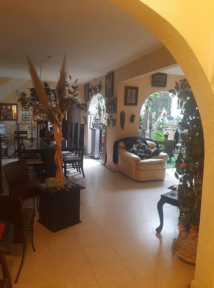 Estudio en Col Roma sur photo 5