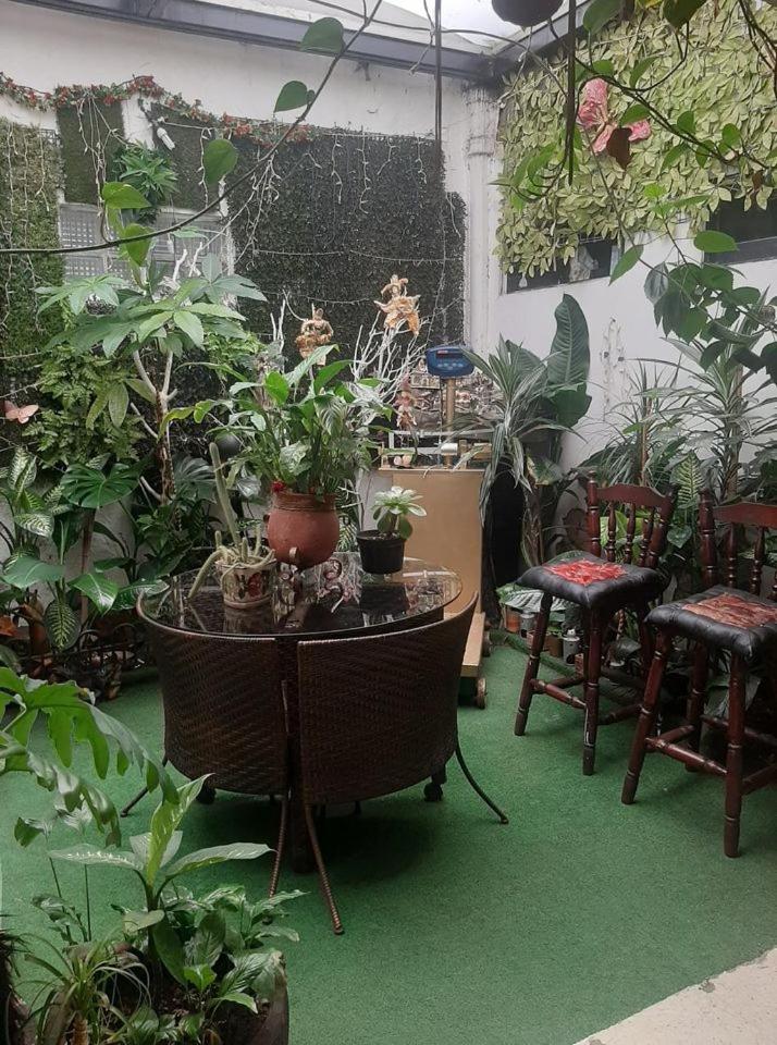 Estudio en Col Roma sur — Mexico City