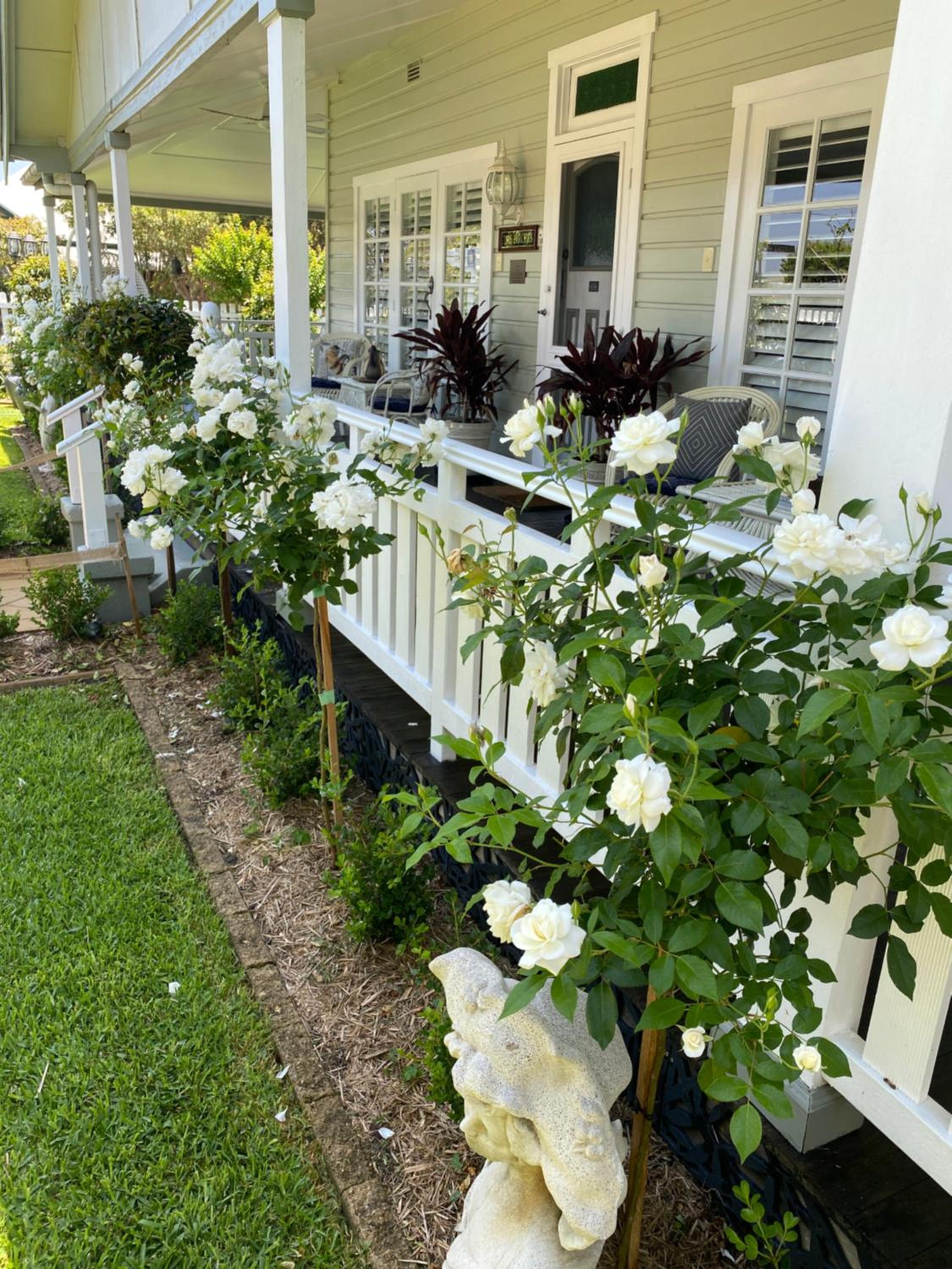 BIRCHES B&B
