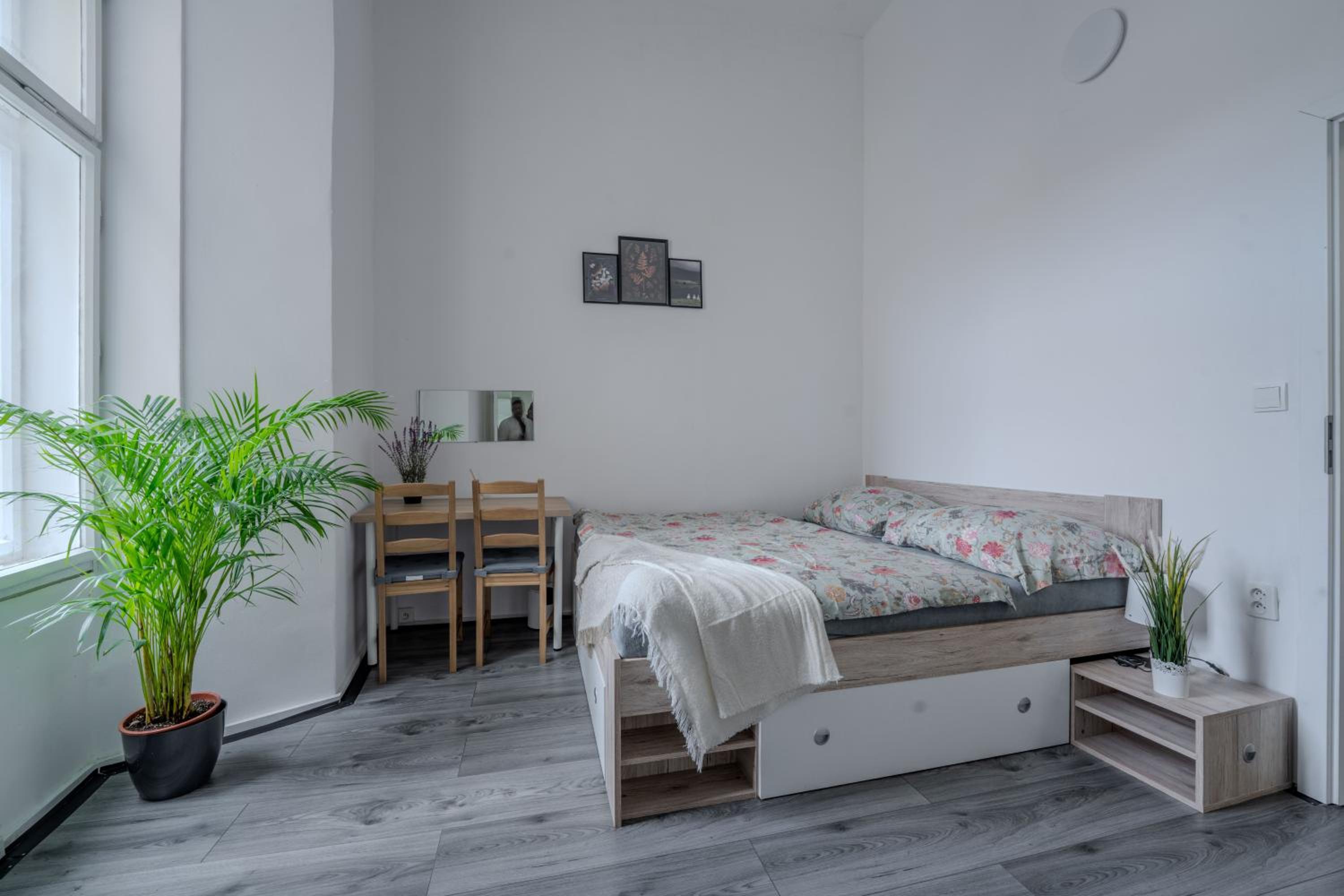 Large Historic Home by Charles Bridge & Parking