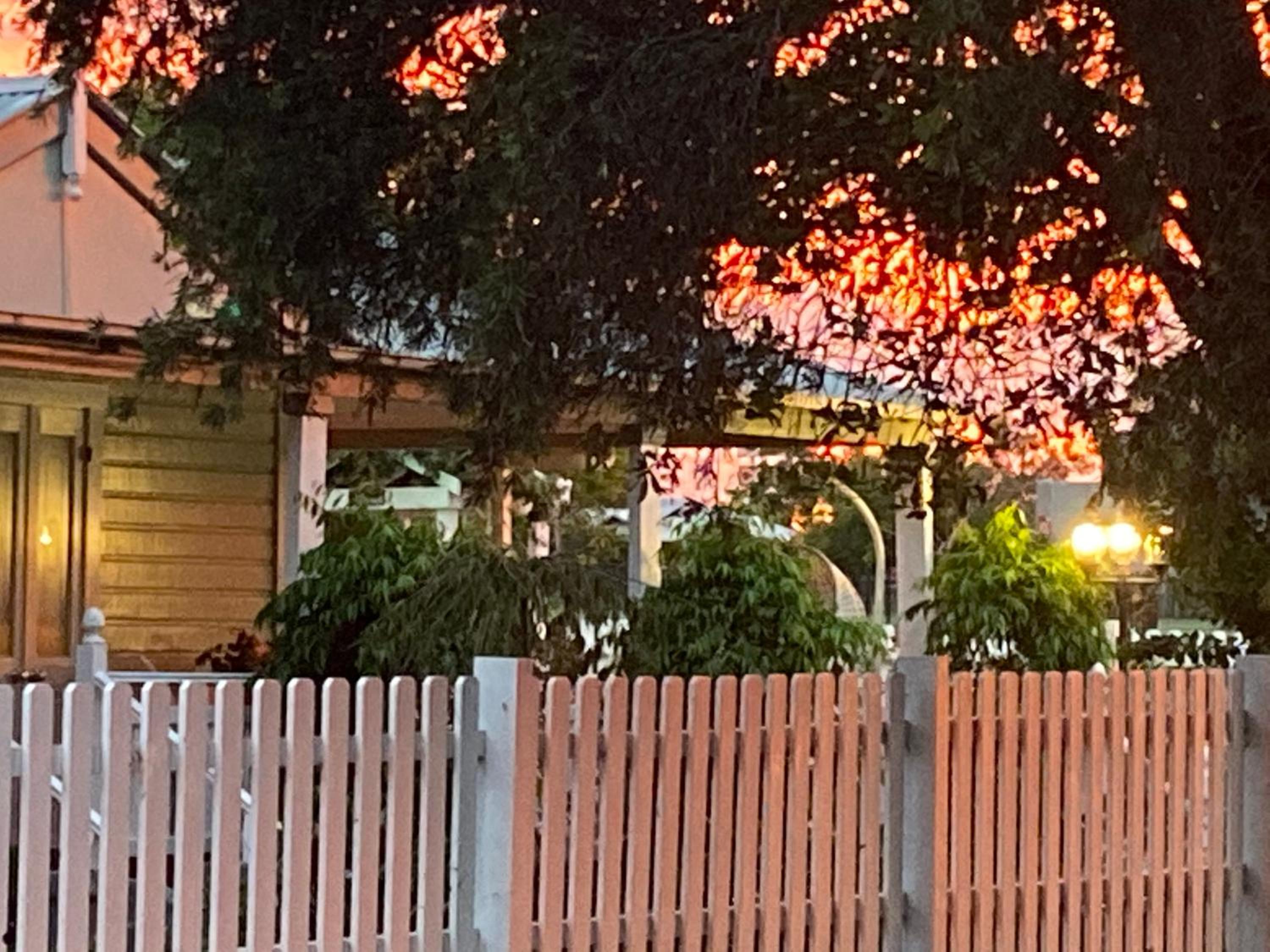 BIRCHES B&B