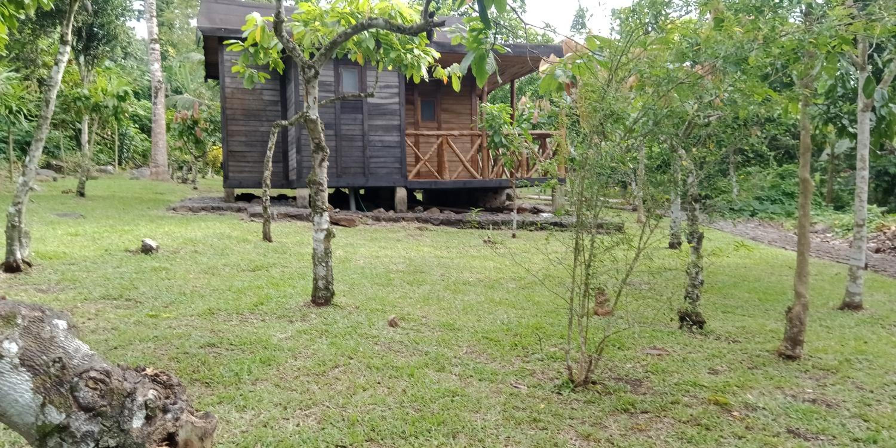 Photo 8