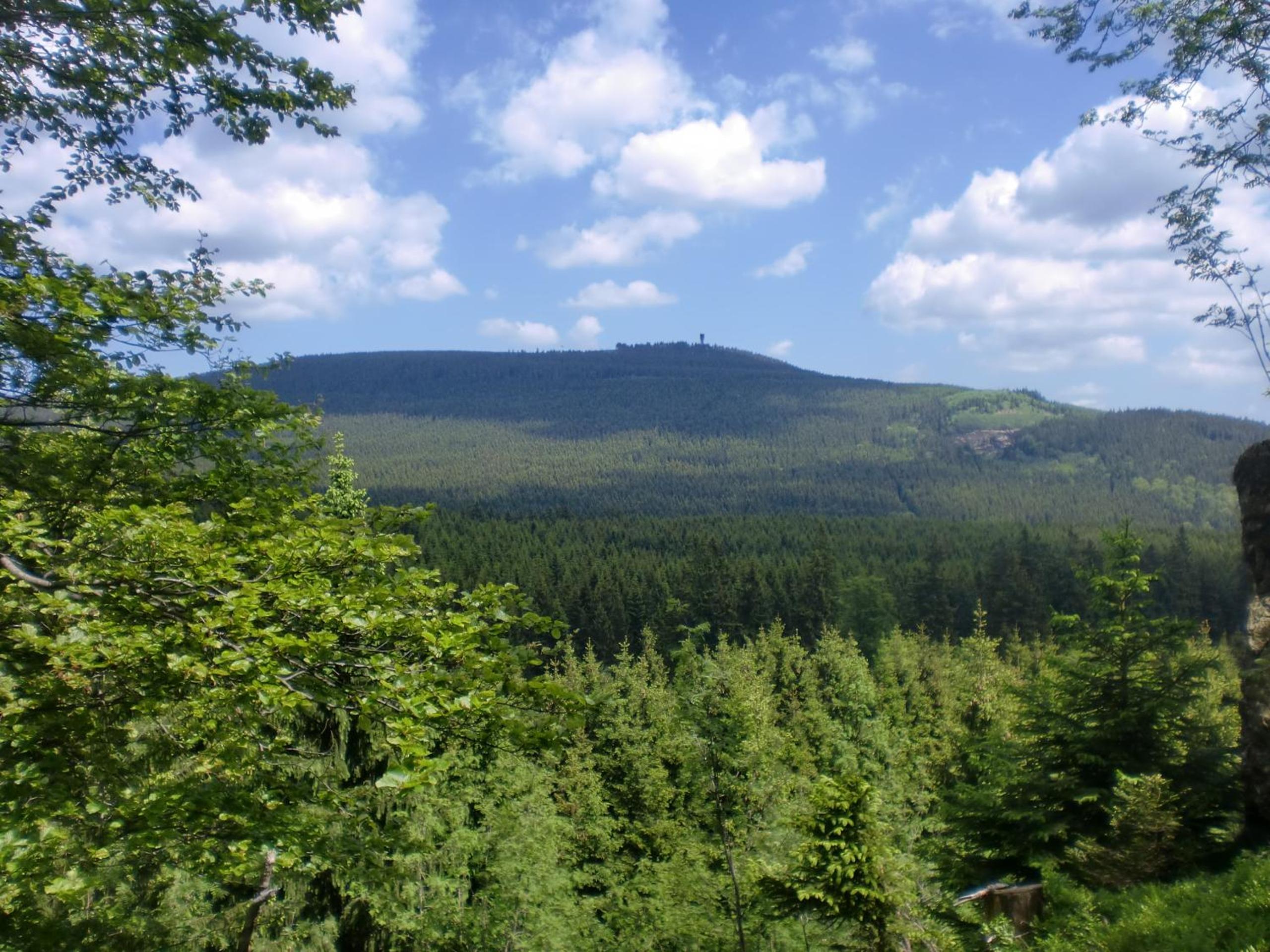 Pension Haus am Wald