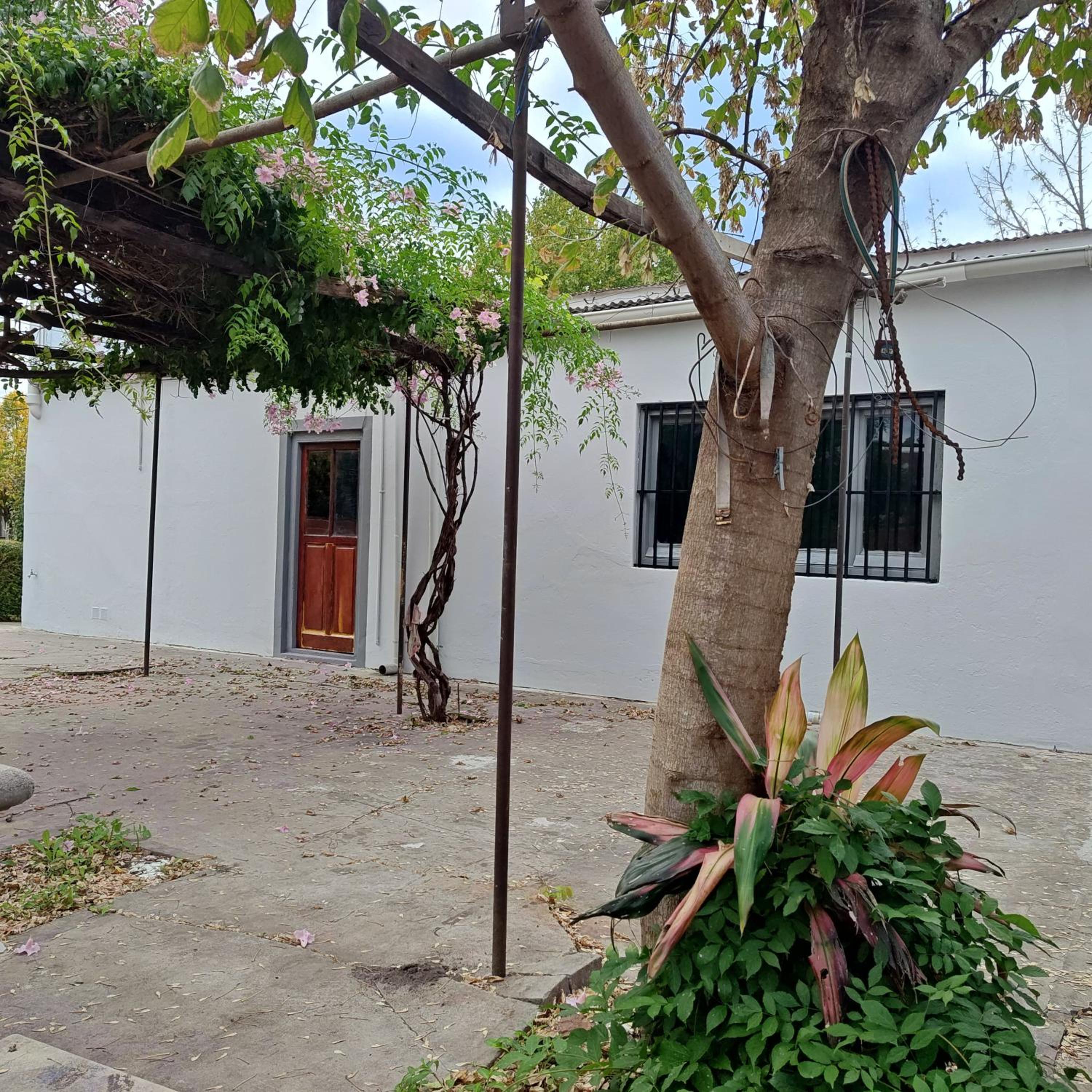 Alojamiento turístico Bignonia Rosa