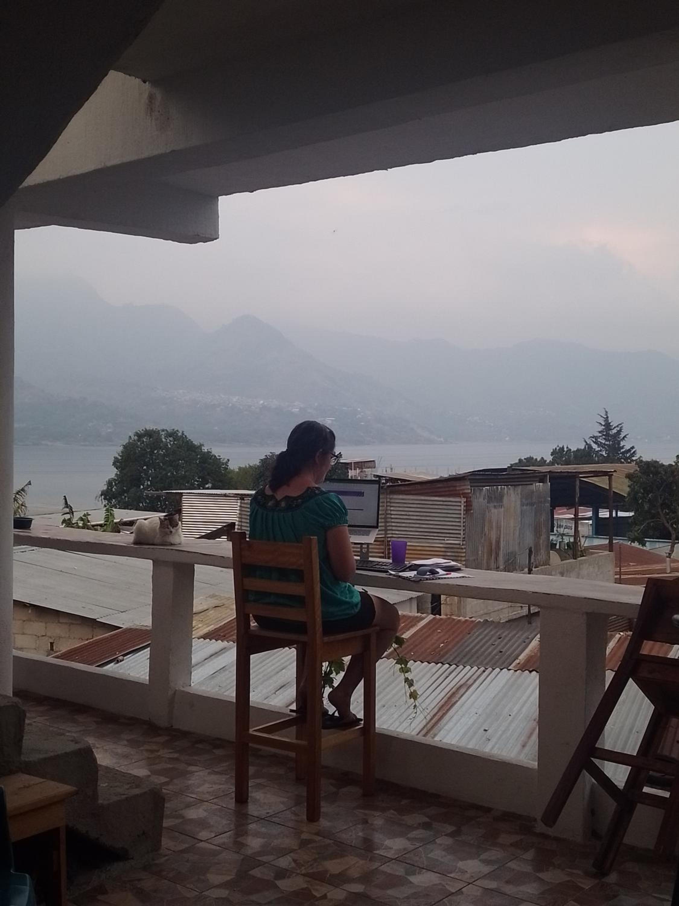 flor jazmin view 4