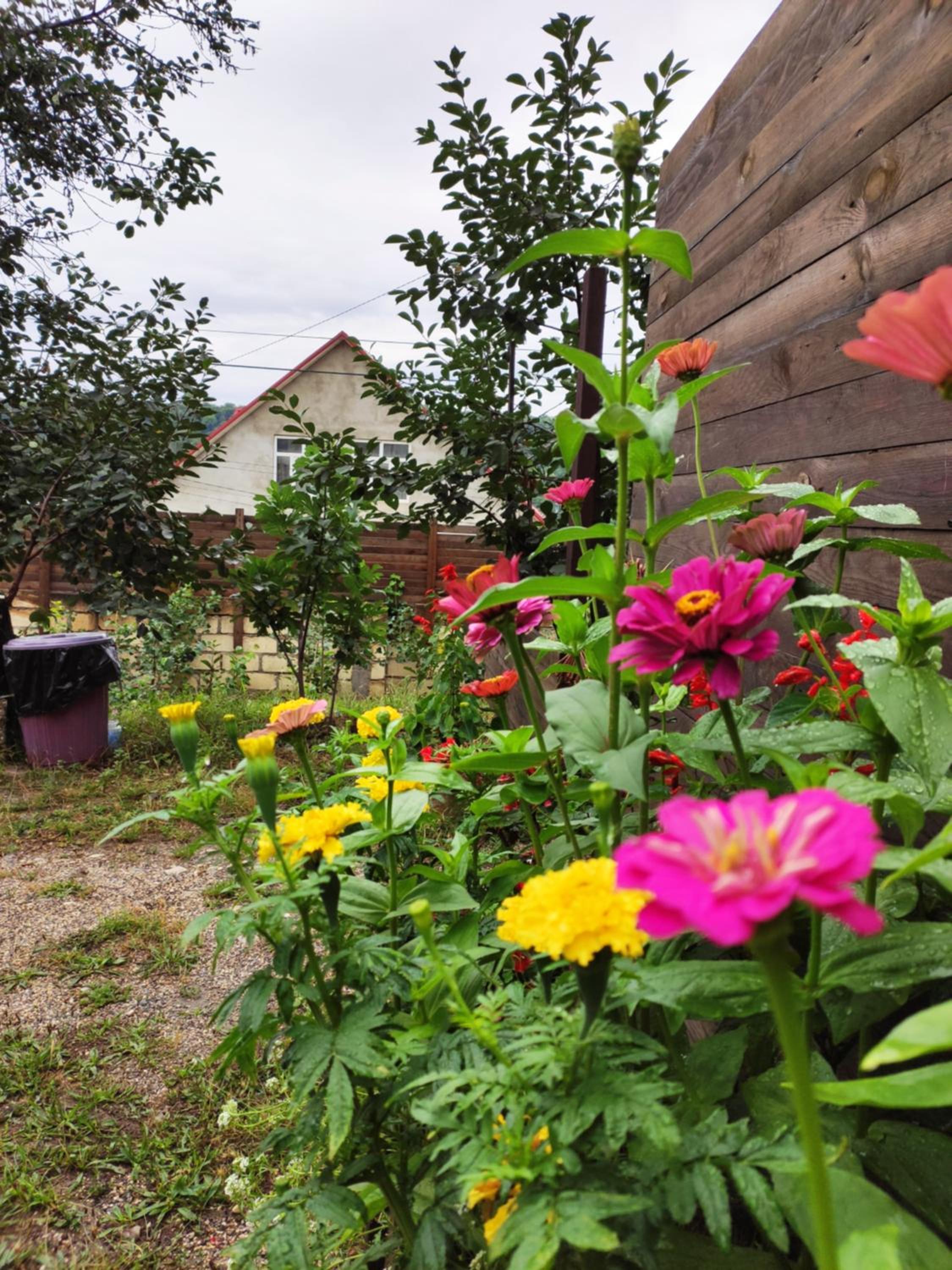 GUEST House