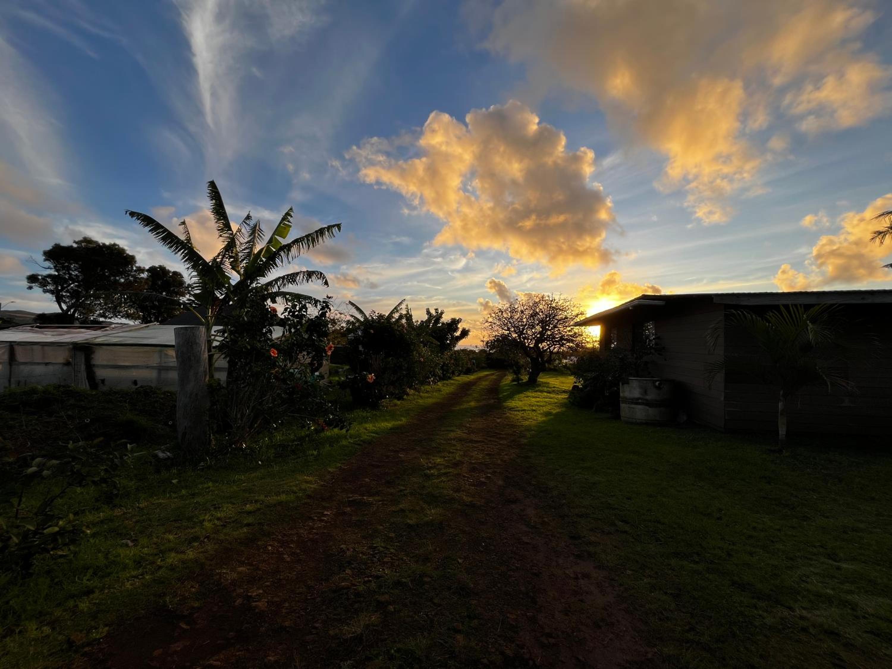 Cabaña Koromaki Rapanui