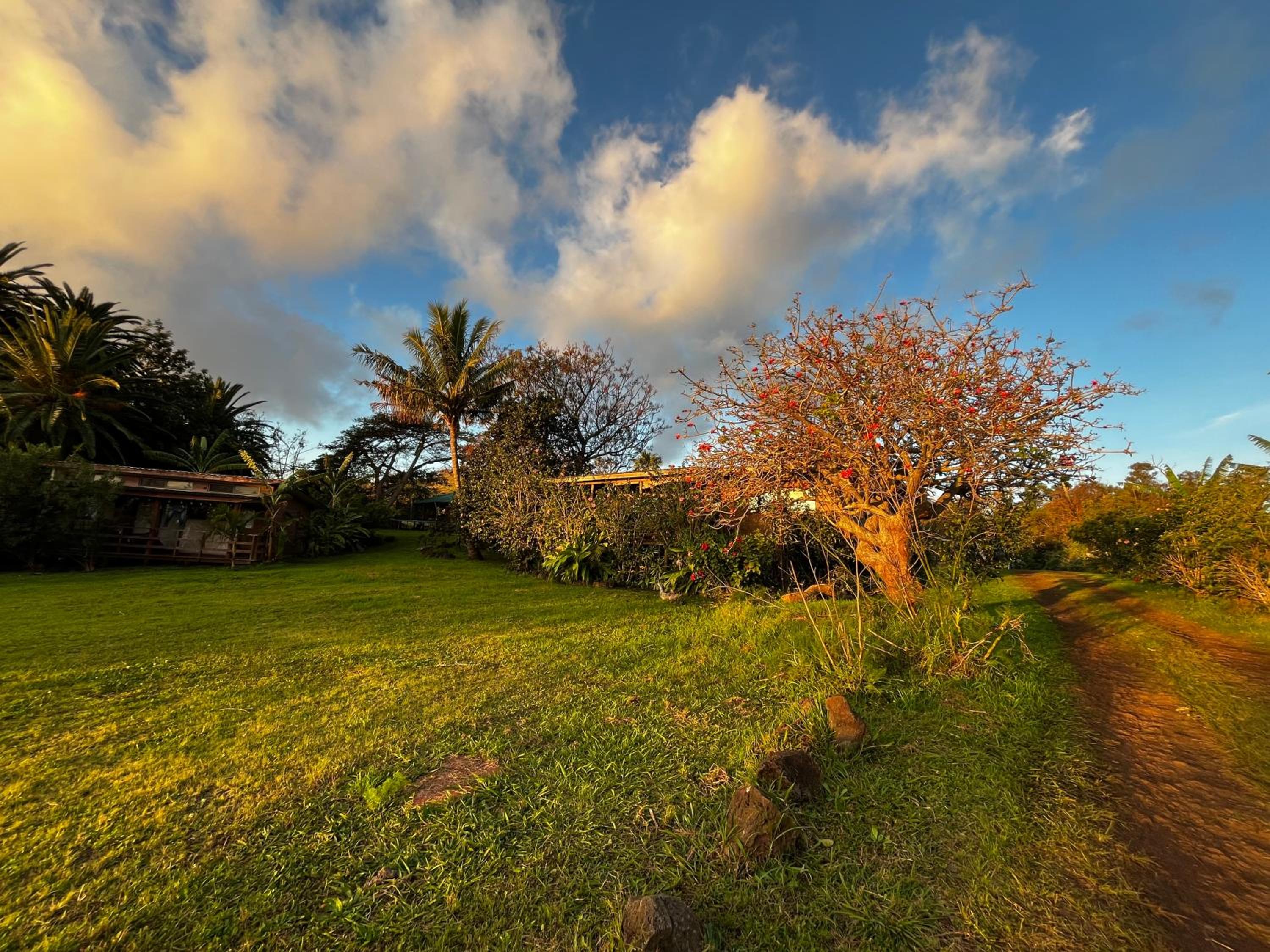 Cabaña Koromaki Rapanui