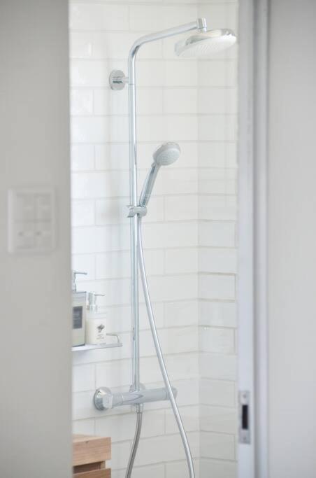 vebora shine
