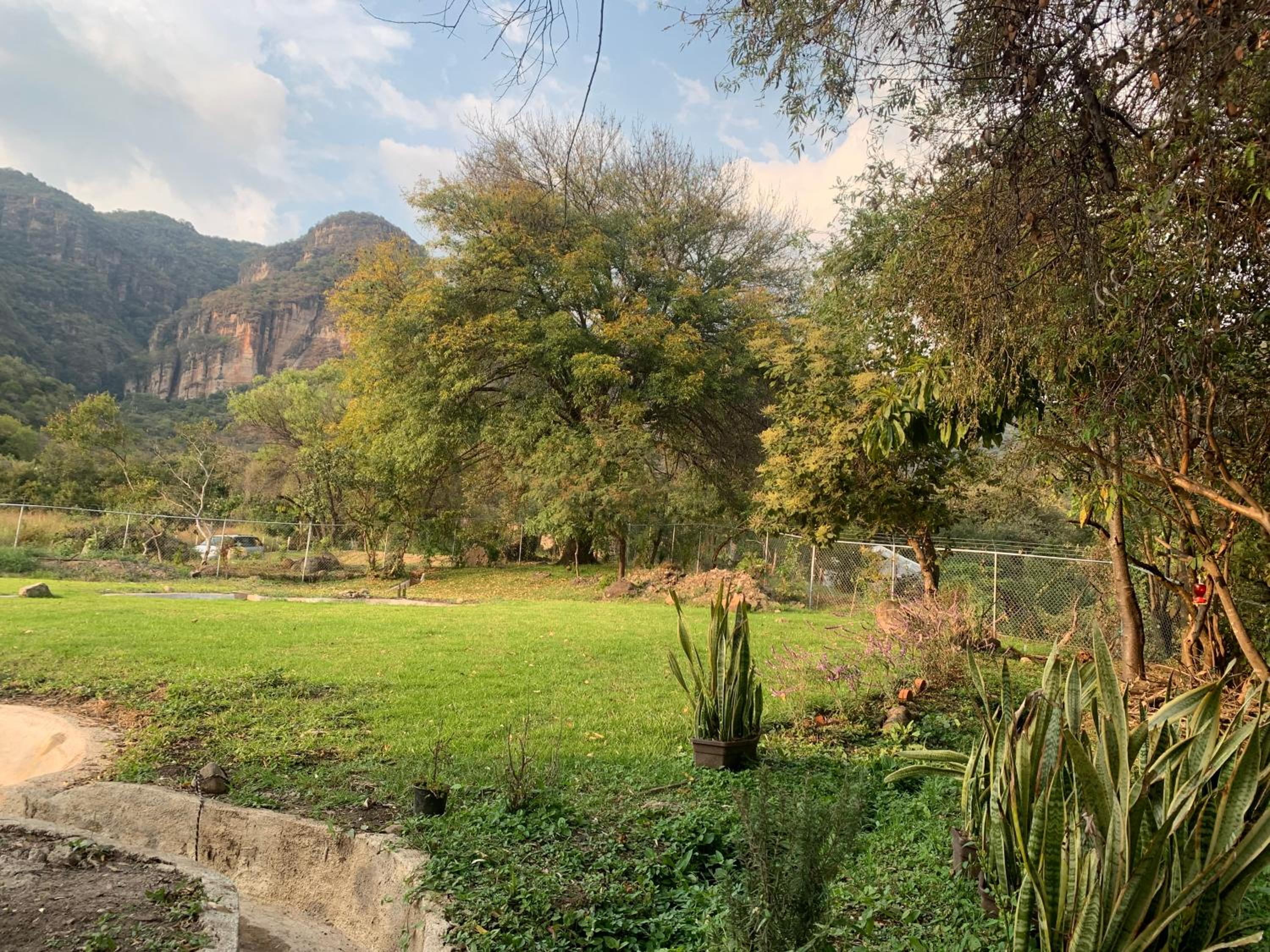 Cabaña Roble view 2