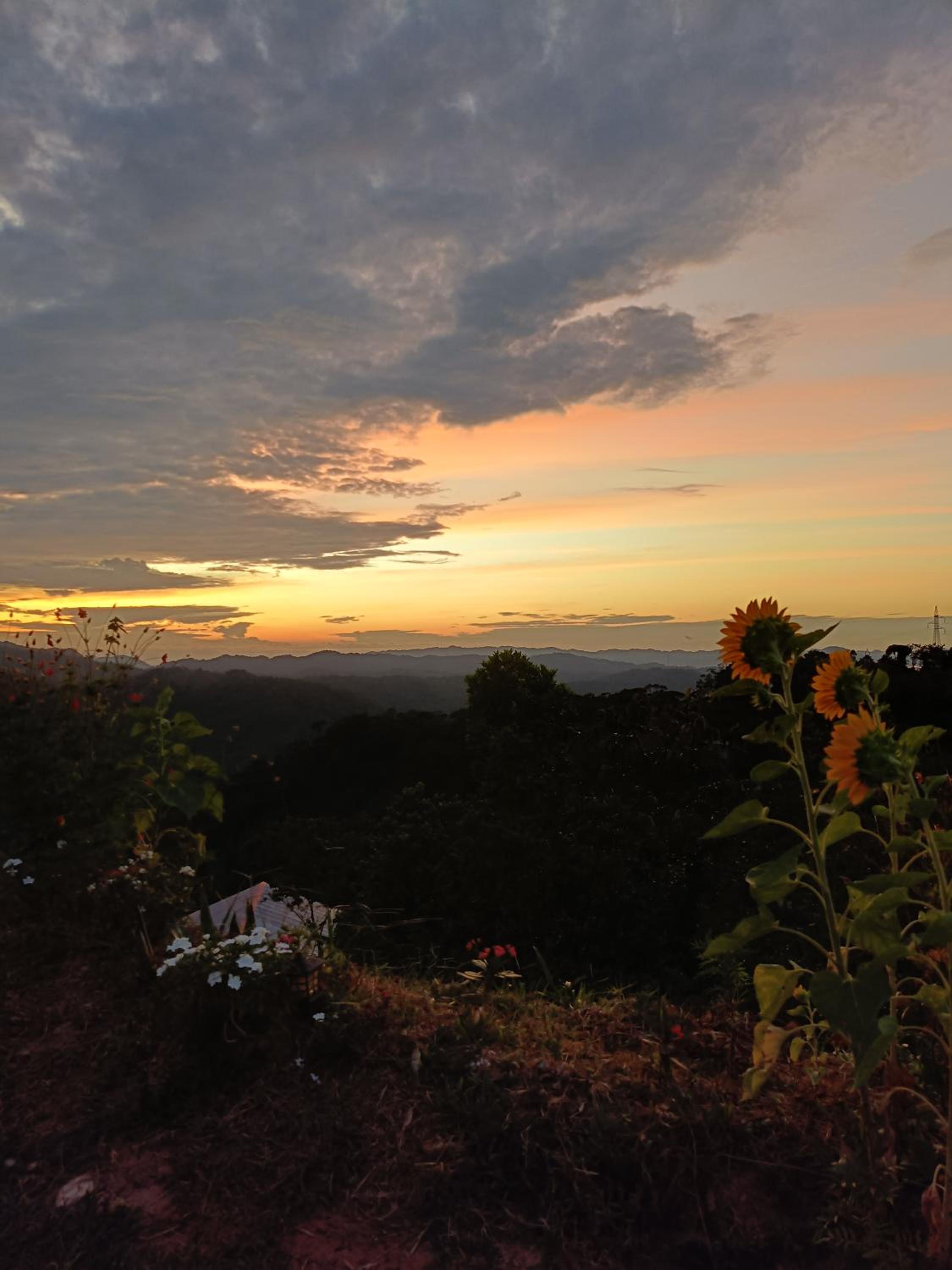Cabaña la Antiguita