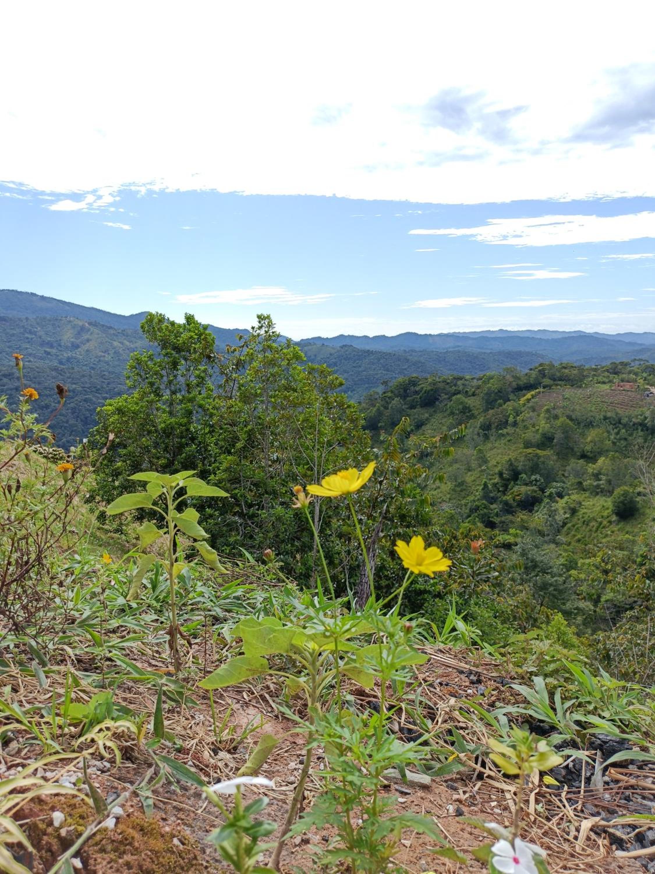 Cabaña la Antiguita