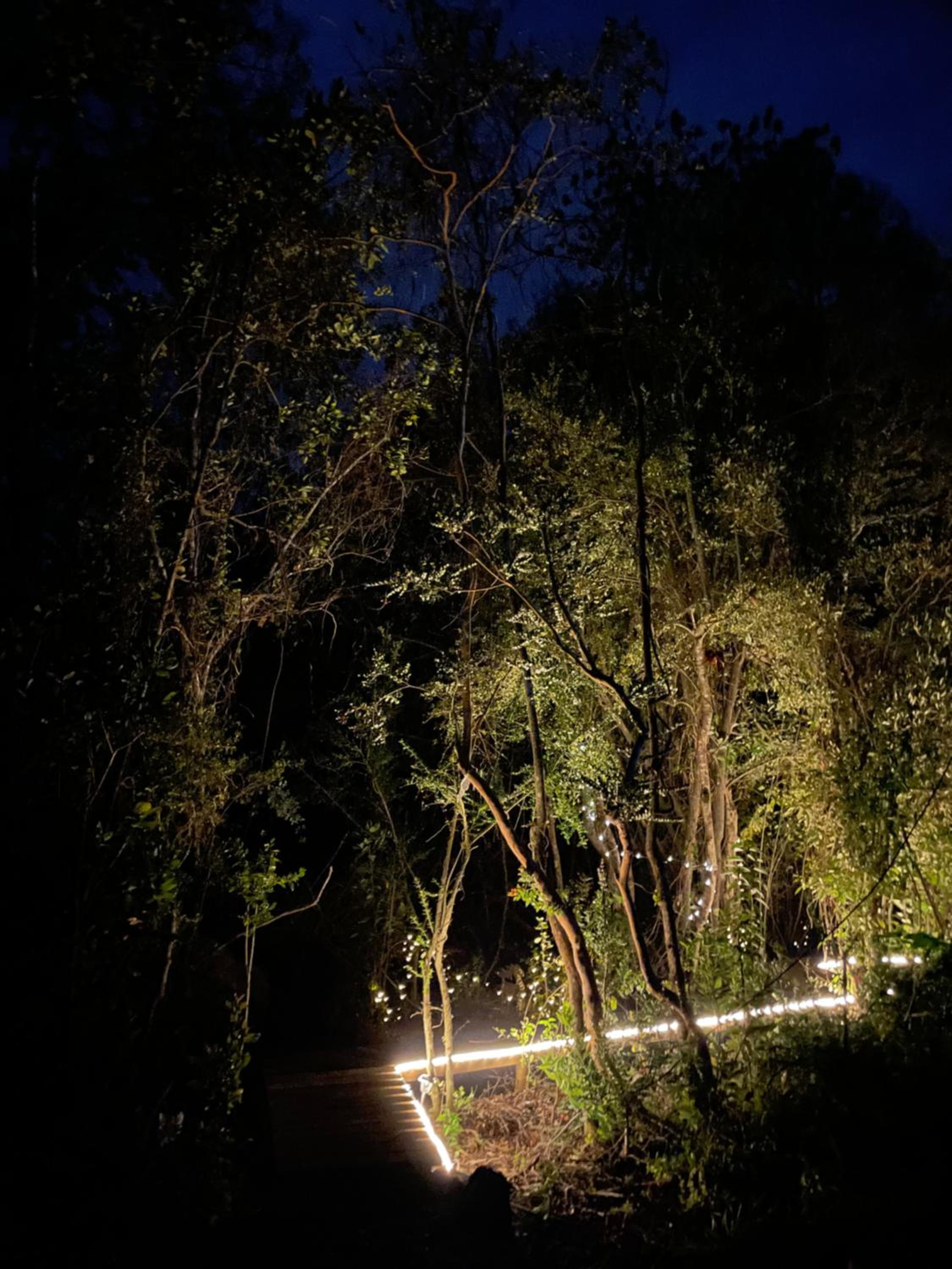 Cabaña para 4 con bosque y río Pucon