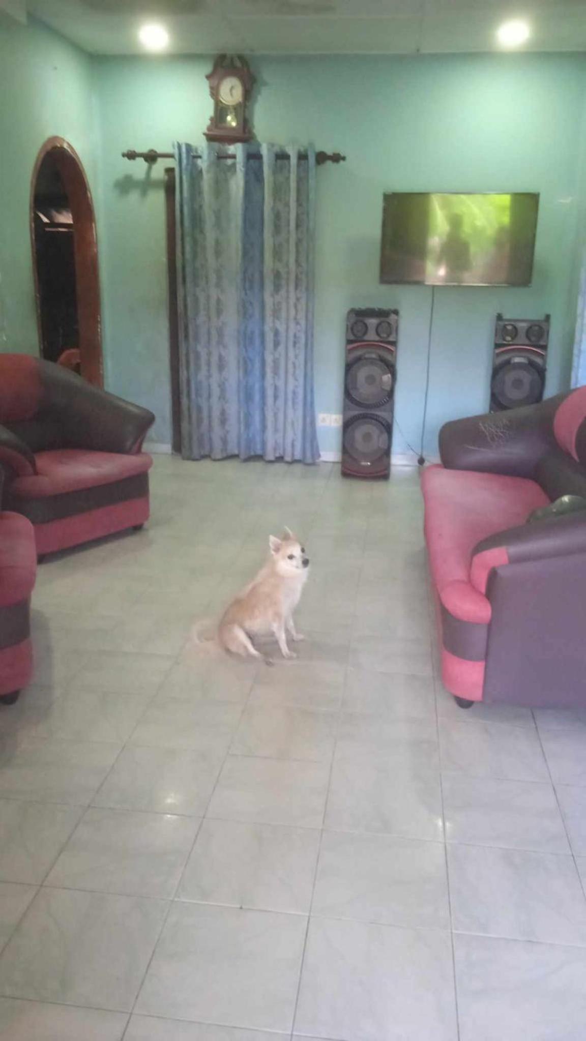 House for rent Ahangama