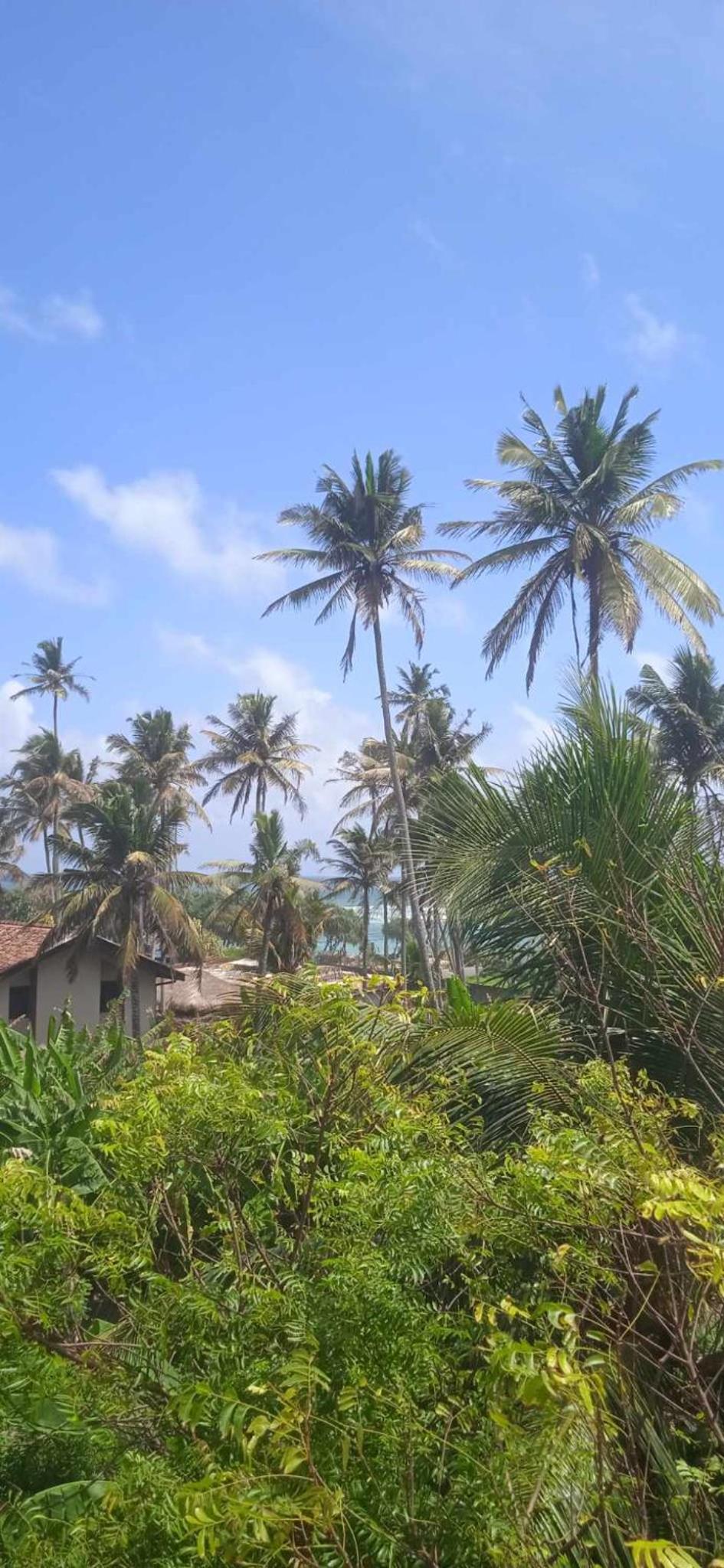House for rent Ahangama