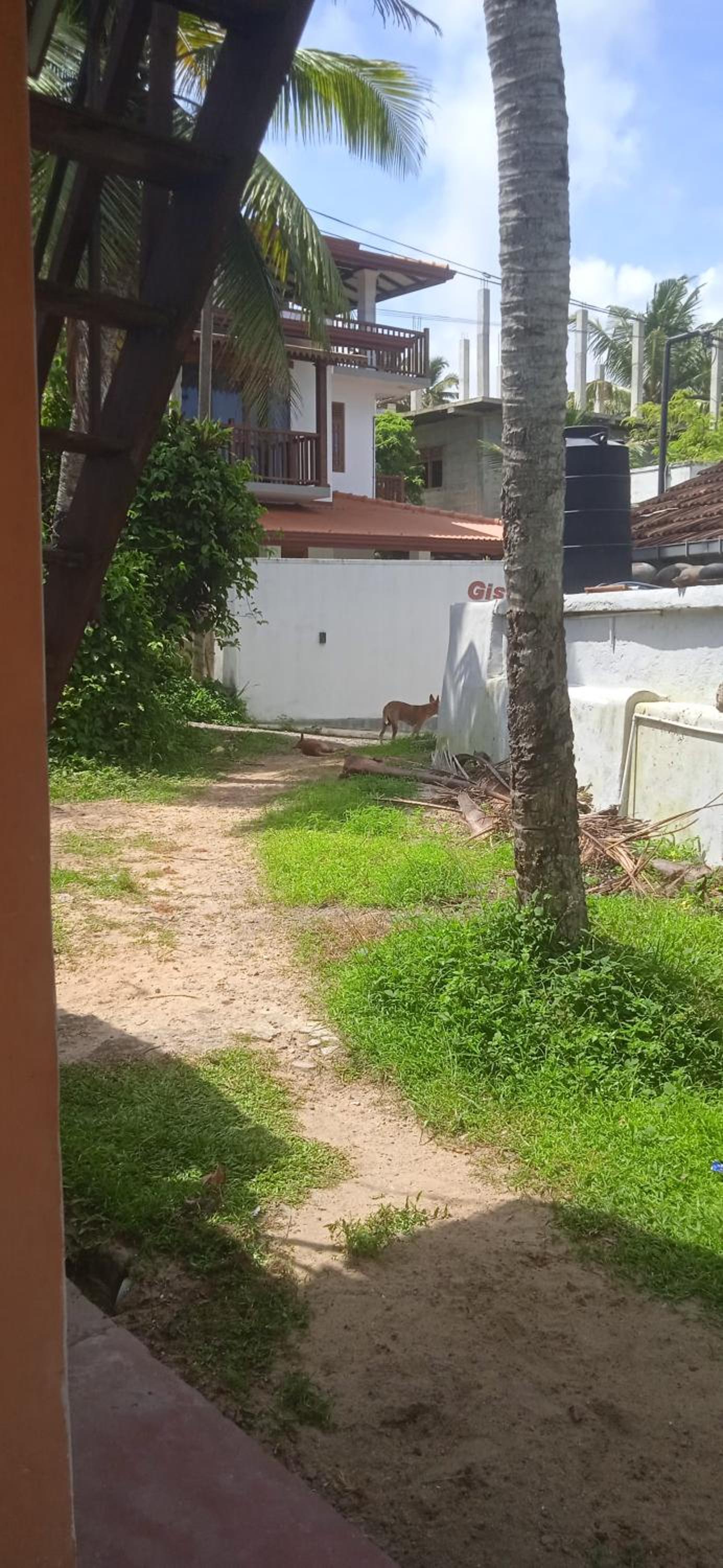 House for rent Ahangama