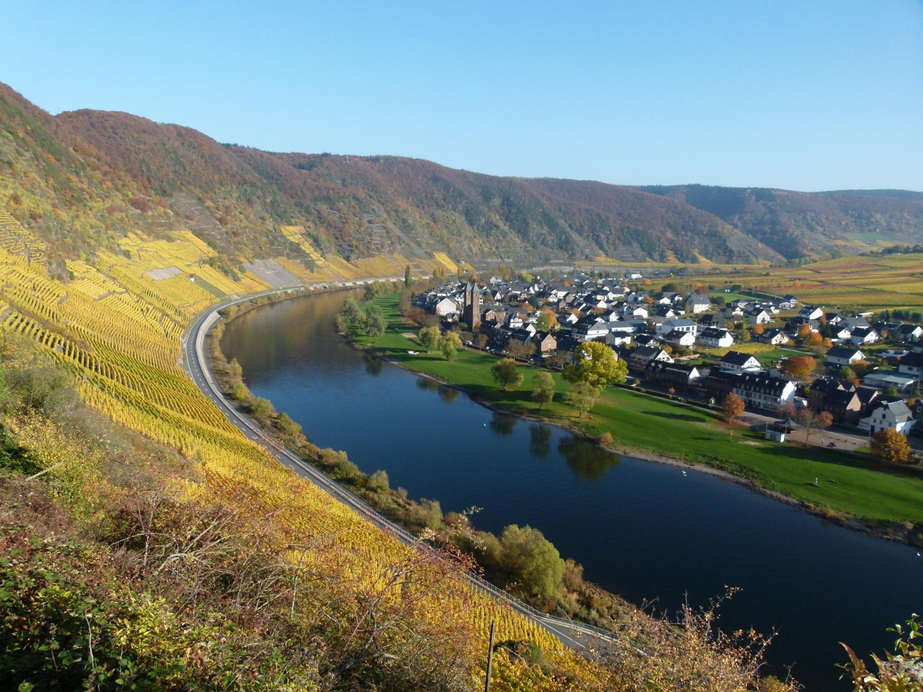 Ferienweingut Rudorfer
