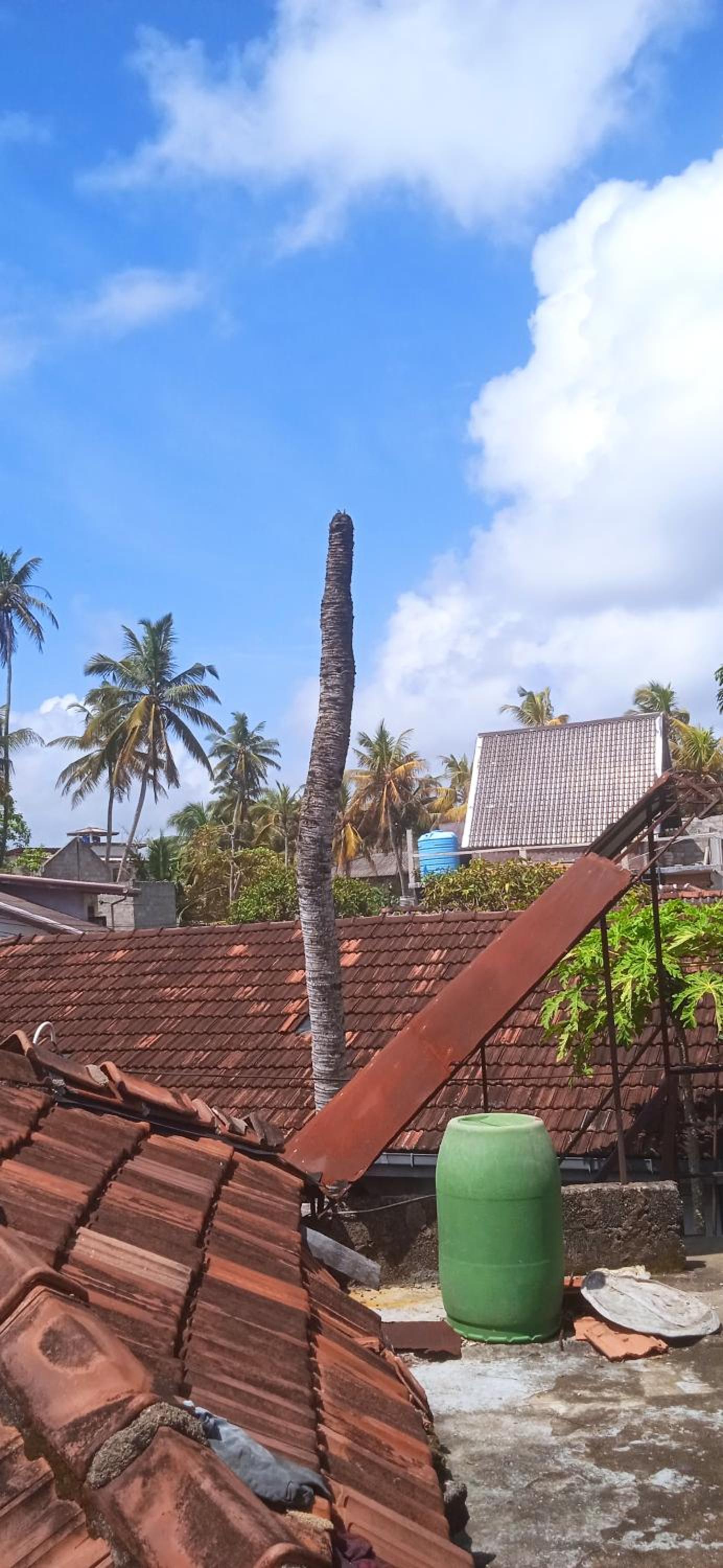House for rent view 3