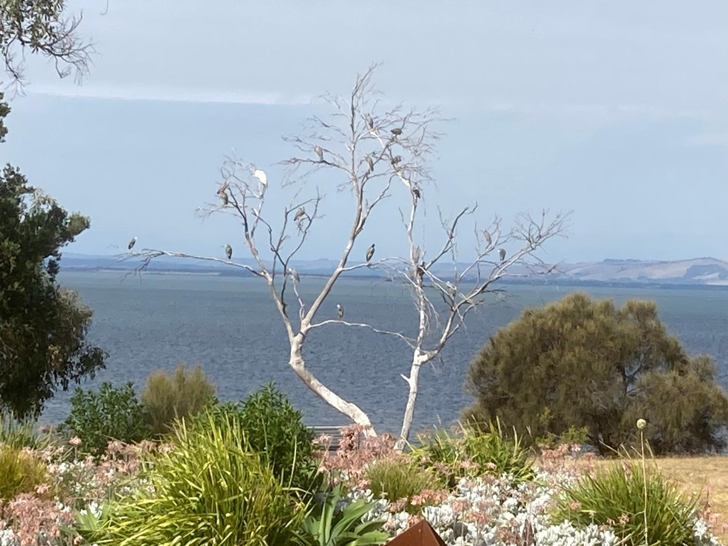 Pleasant Point Cottage Phillip Island