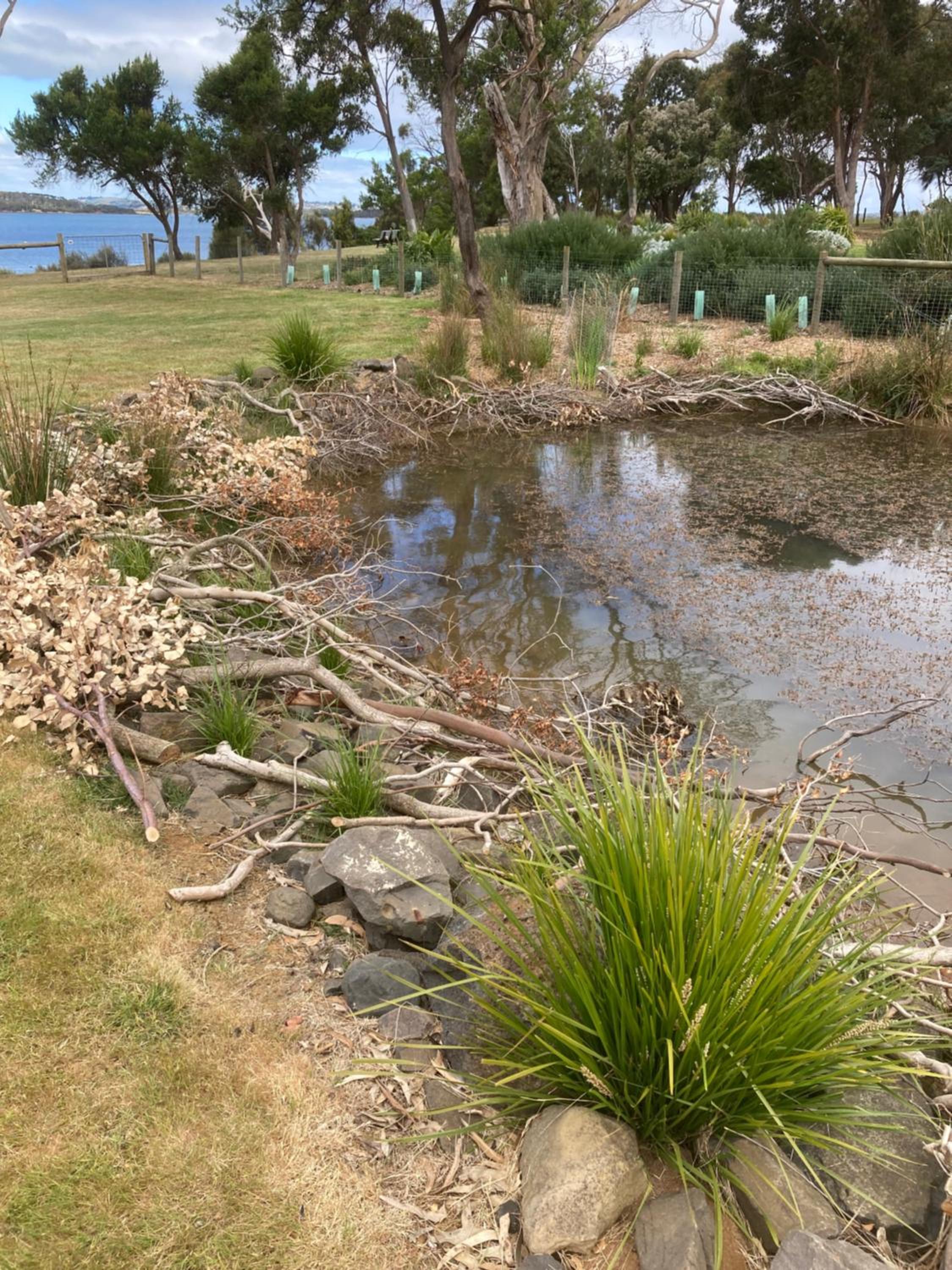 Pleasant Point Cottage Phillip Island