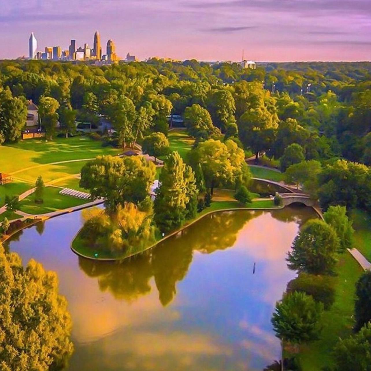 Home away from home Charlotte view 4