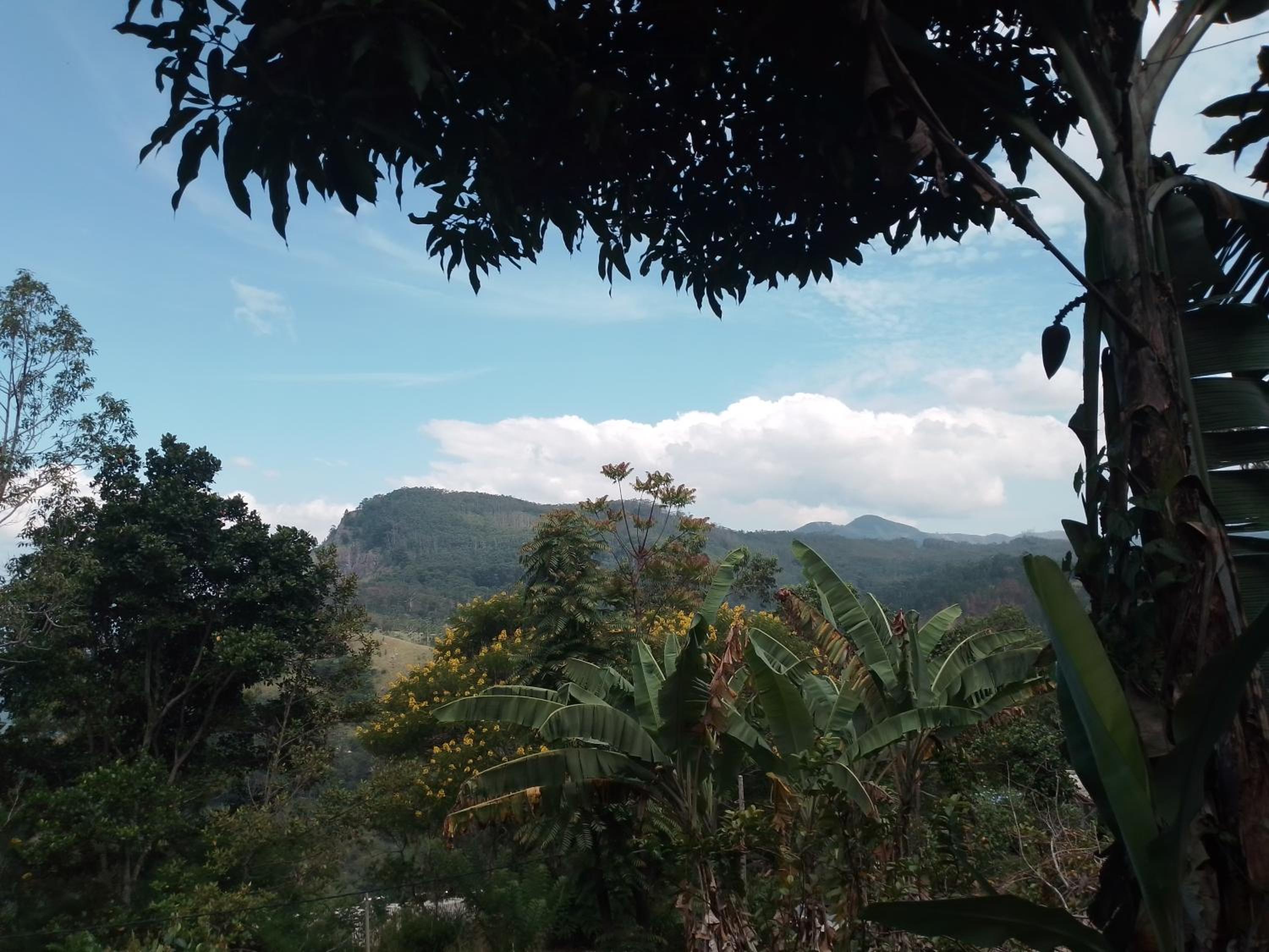 The One Haret Homestay Ella view 5