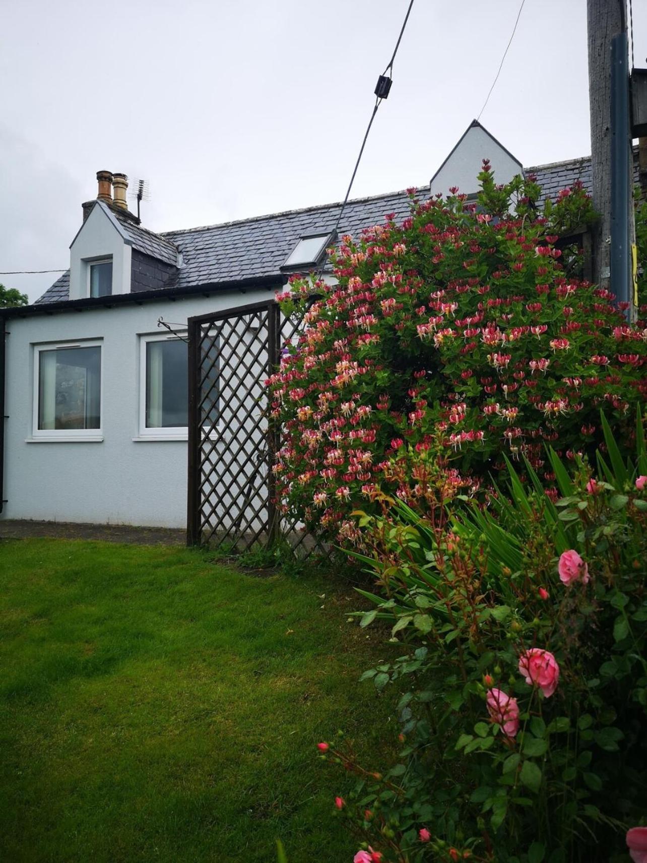 Spacious 3BR Cottage - Parking,Garden - Sleeps 6 view 4
