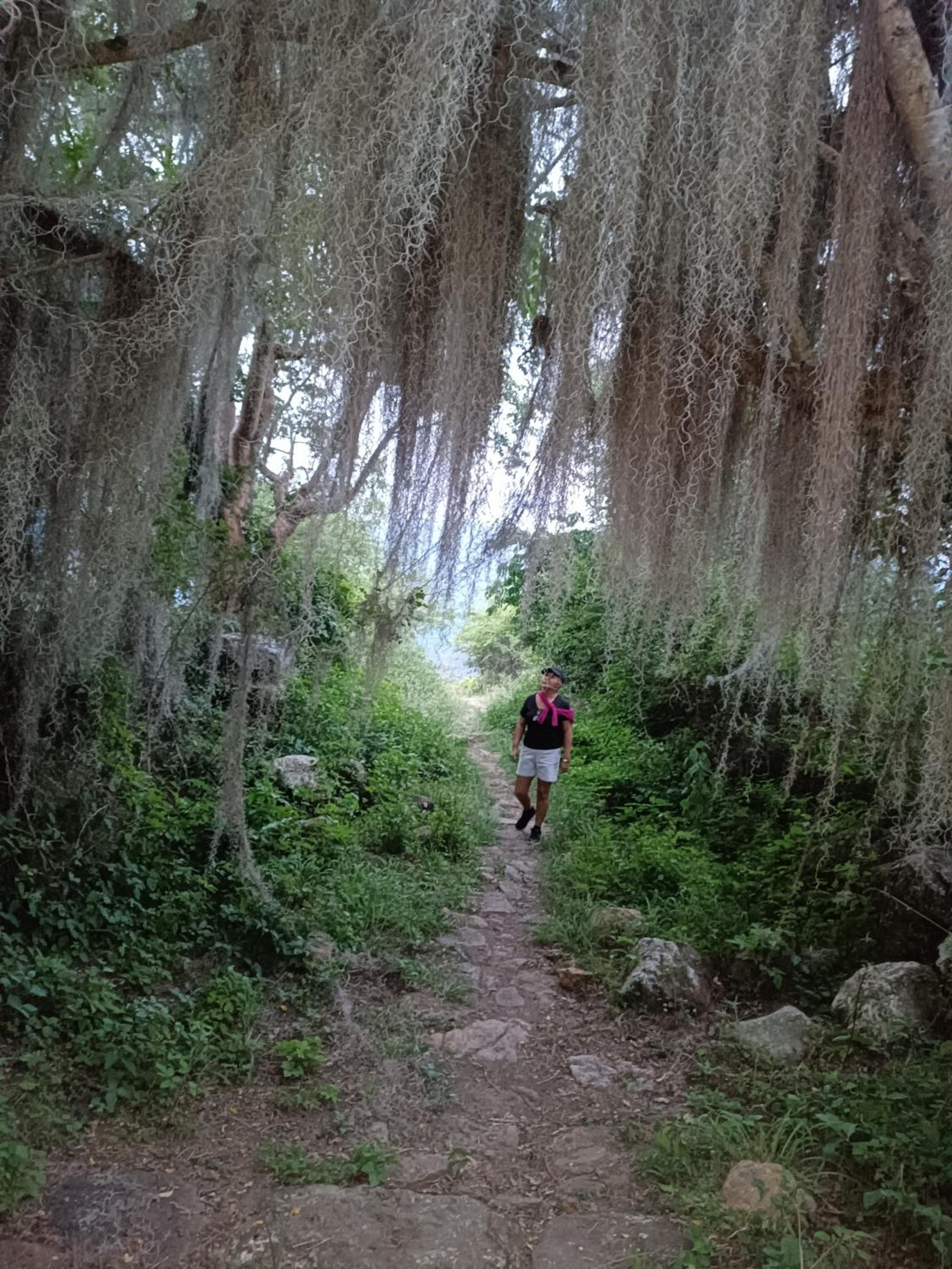 Cabaña Susurros del Cielo