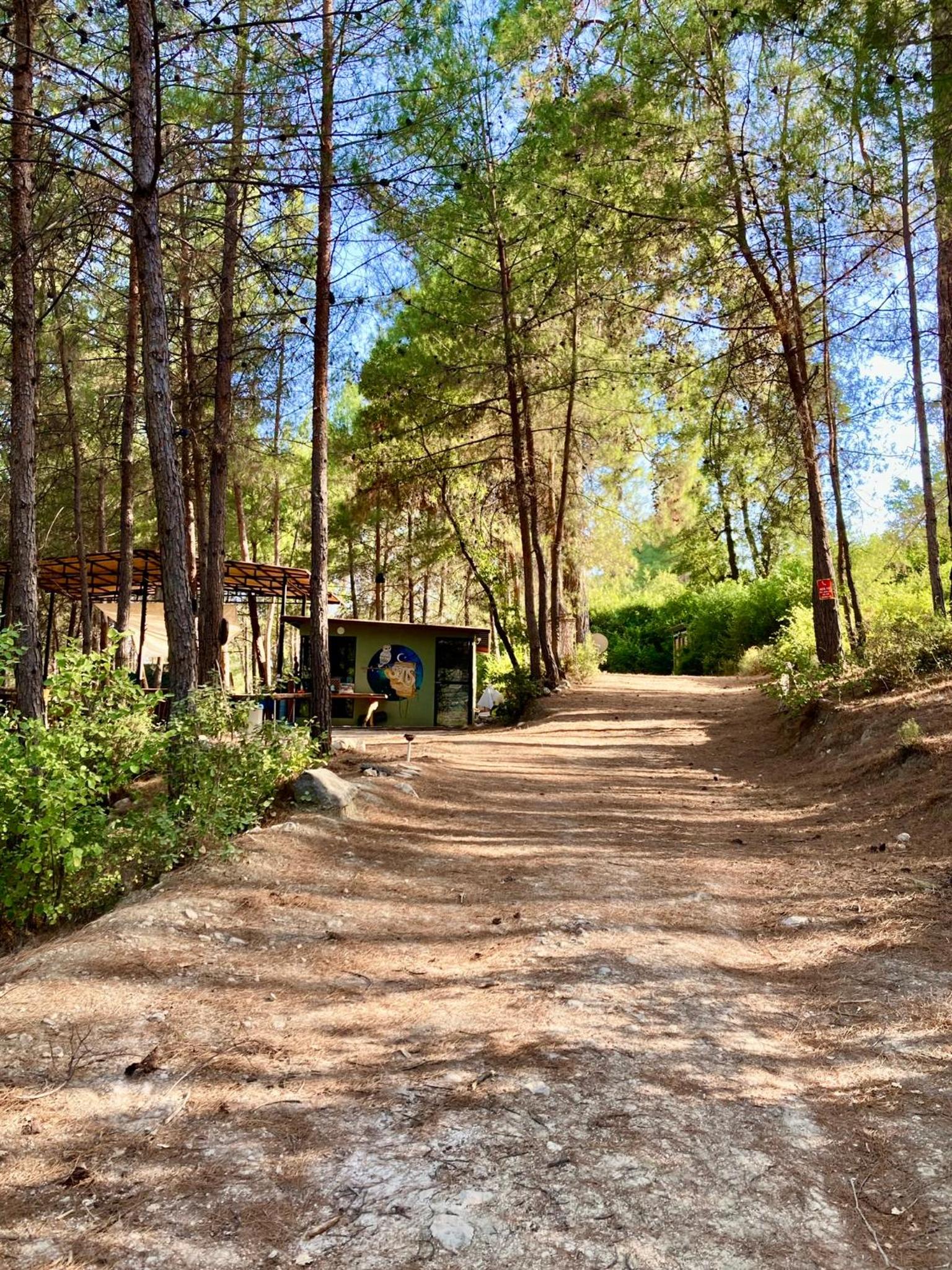 Sens Bungalows