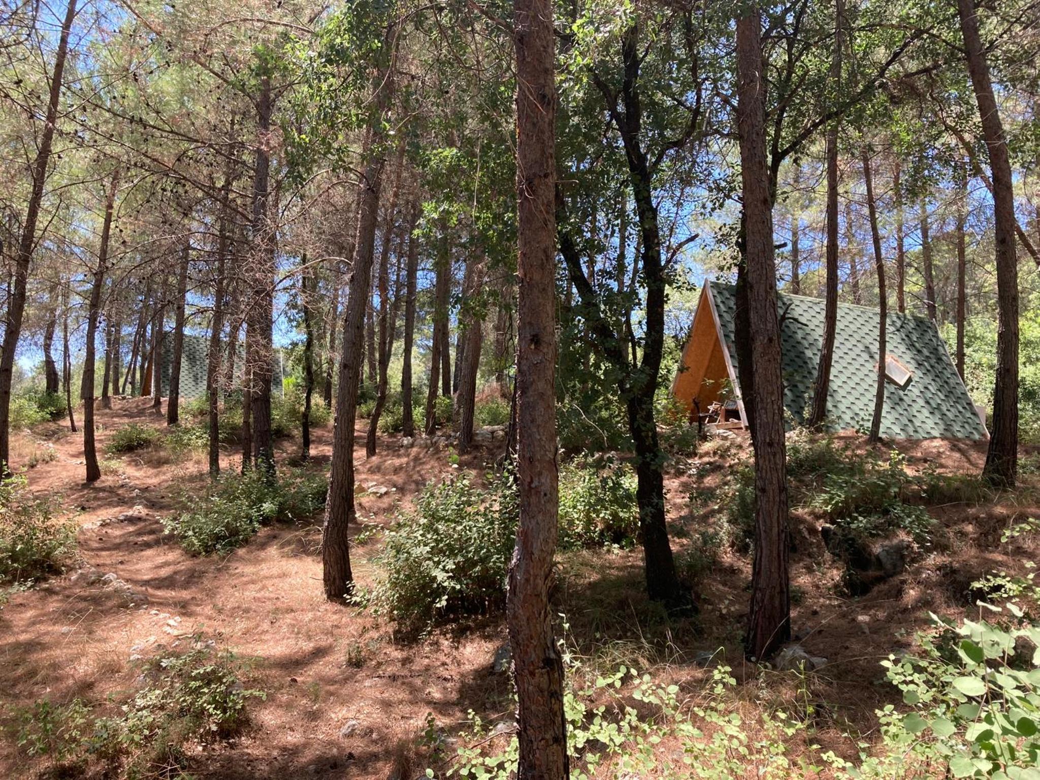 Sens Bungalows