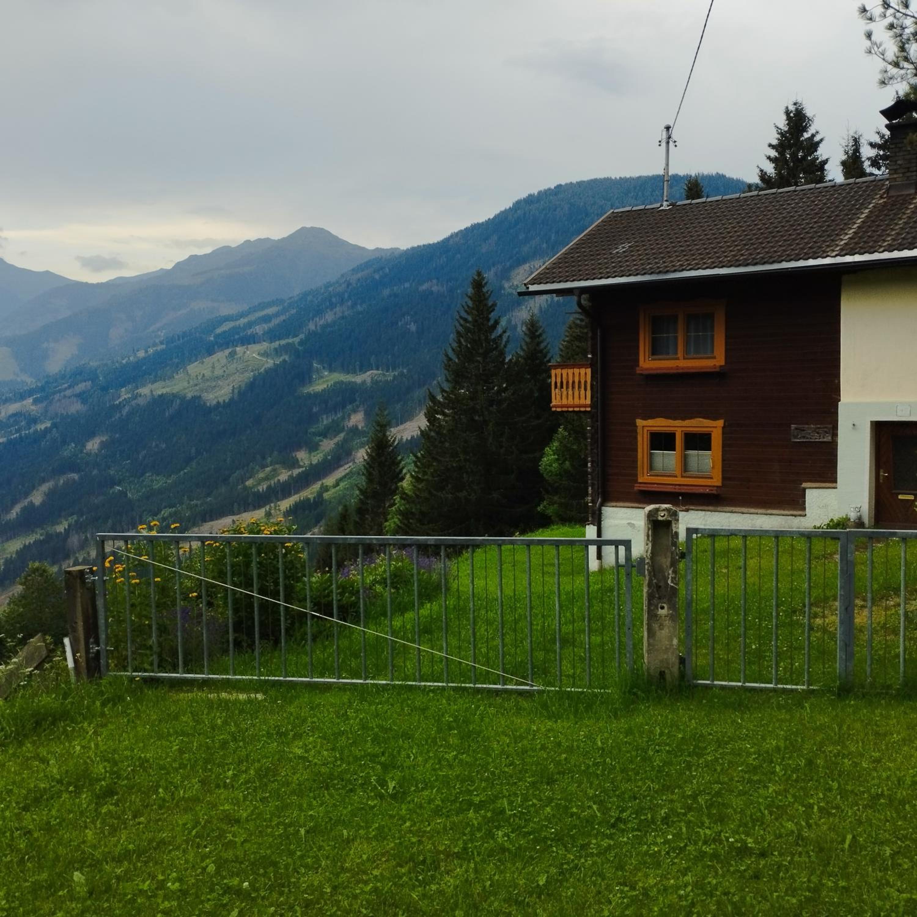 Panoramablick Line