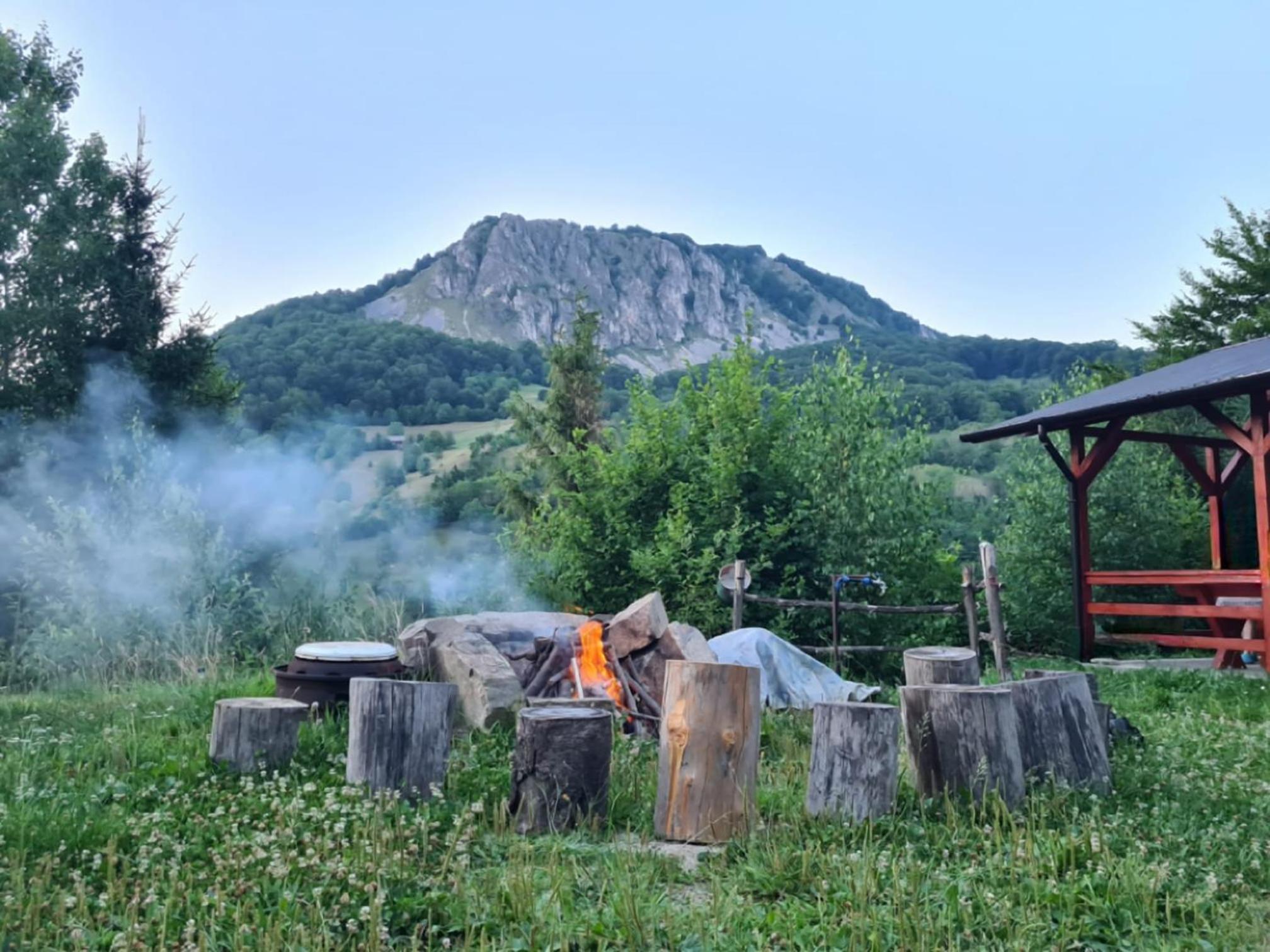Photo 47