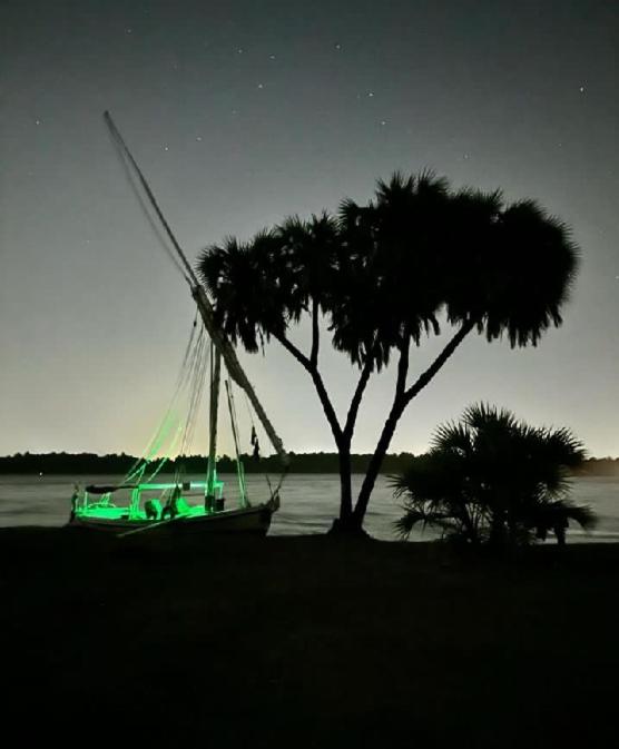 Nile Cruise 3 Nights Aswan to Luxor Sightseeing Included view 5