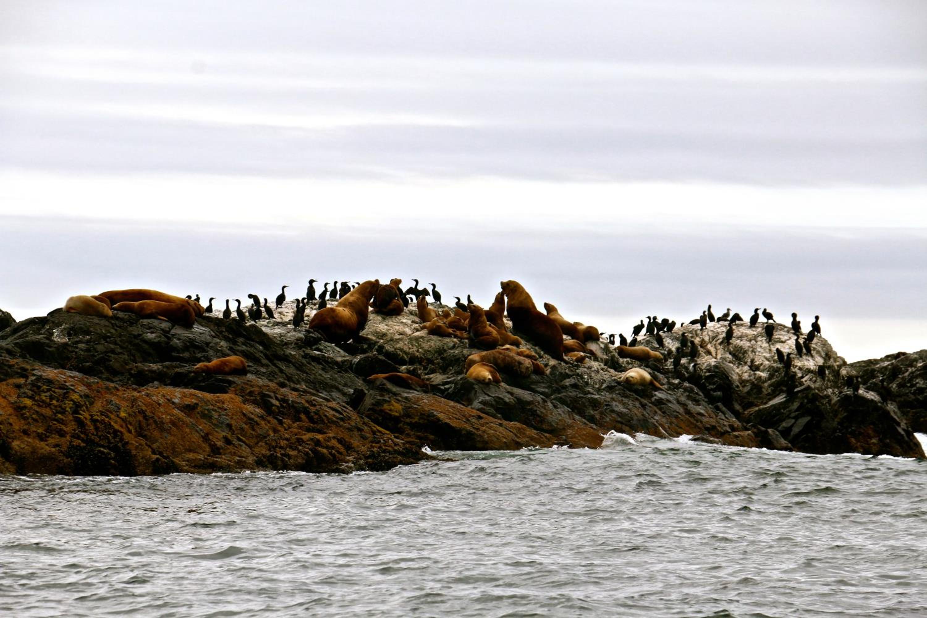Langley Vacations - Scorpion house Langley ROOM B - Property Image 145