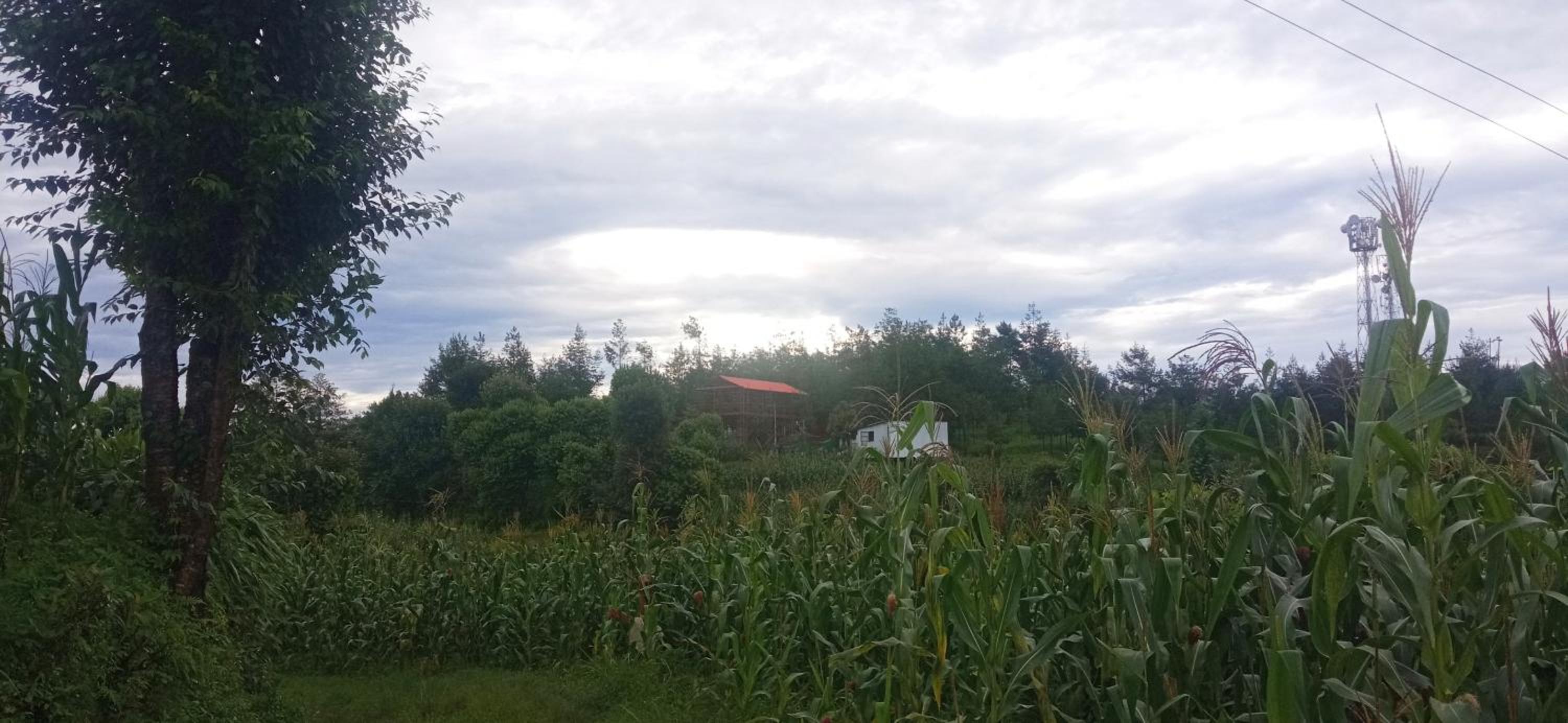 Everest Home Stay Lasso Restro and Bar Temal Kalimati Tower view 3