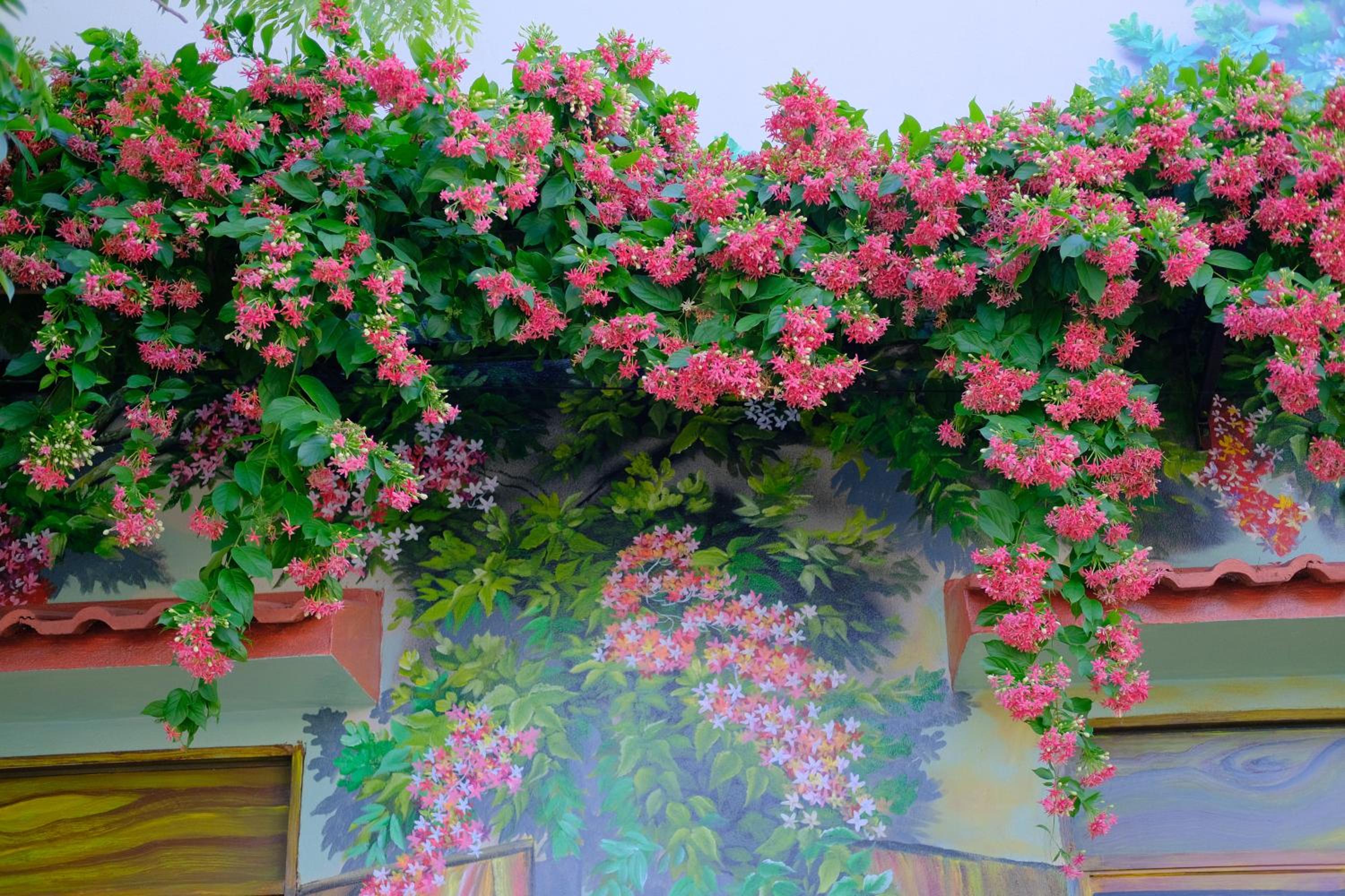 Vườn Gióng Homestay view 5