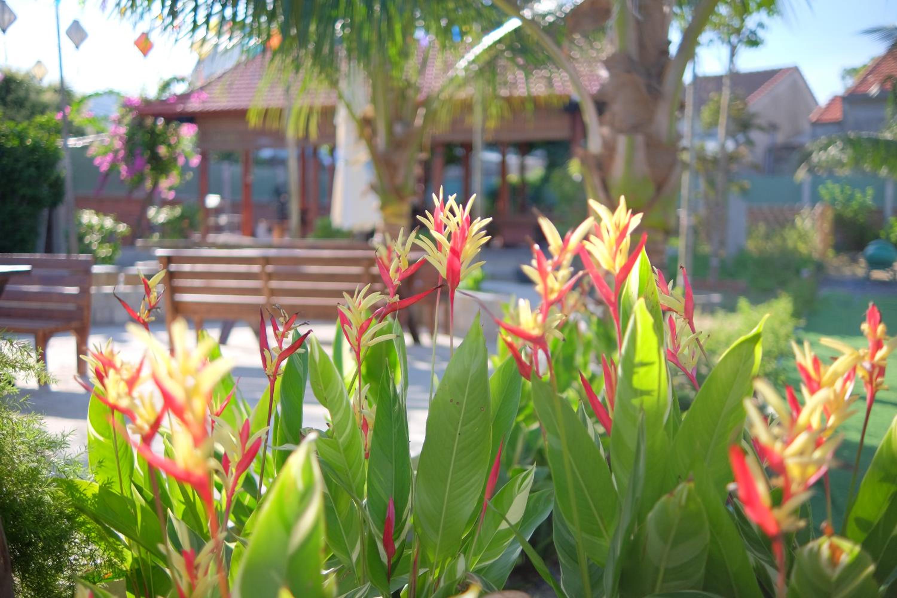 Vườn Gióng Homestay view 4